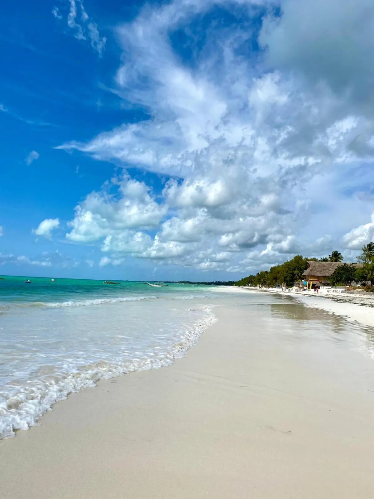 Natural landscape in Paje Beach Apartments & Hotel