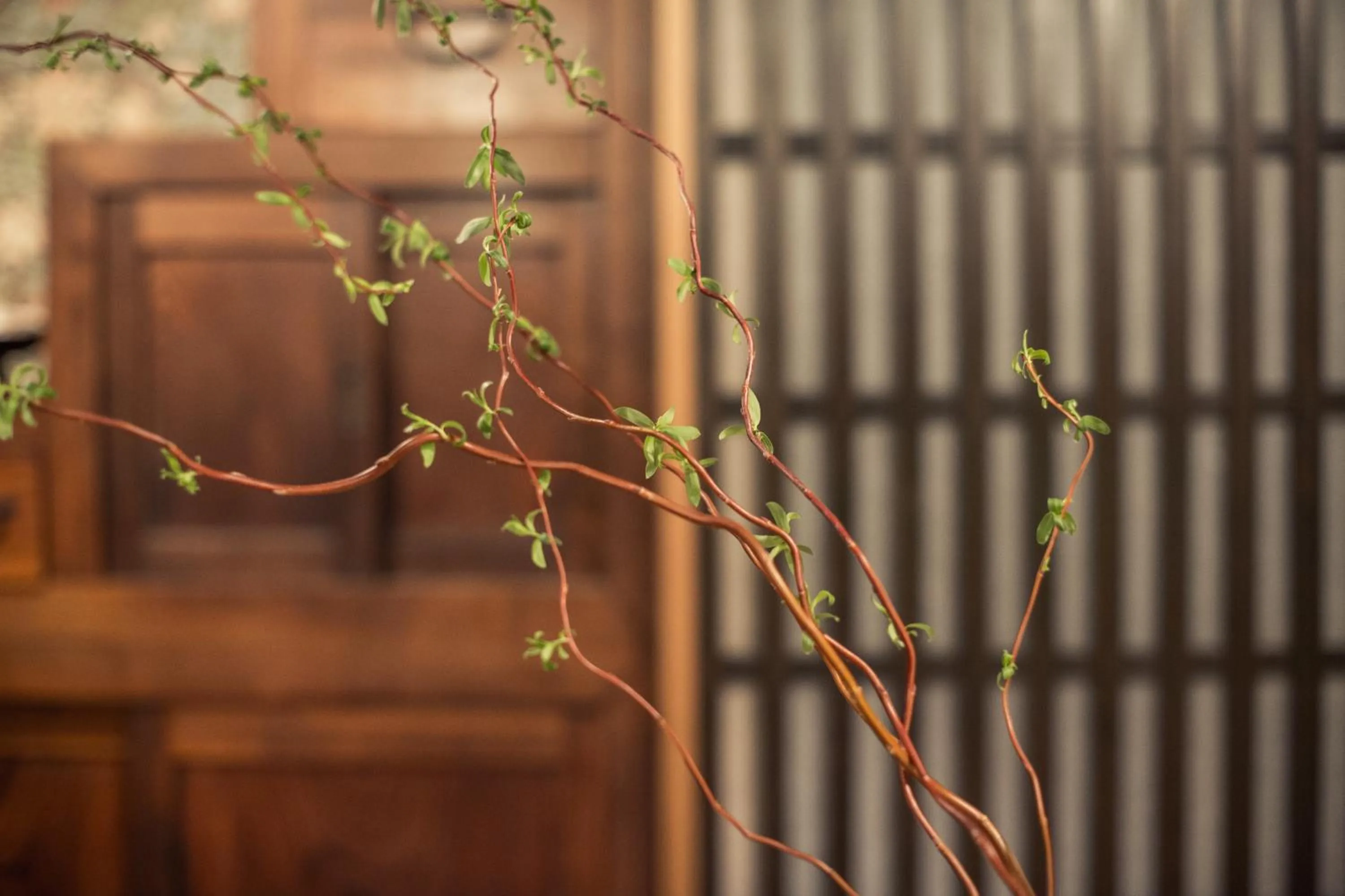 Kitchen or kitchenette in Araiya Tokyo -Private Townhouse-