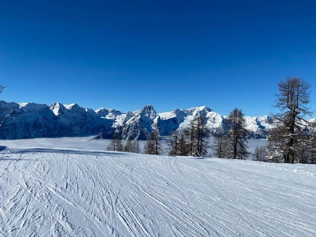 Skiing in Fleischerei - Apartments, Cafe & Weinbar