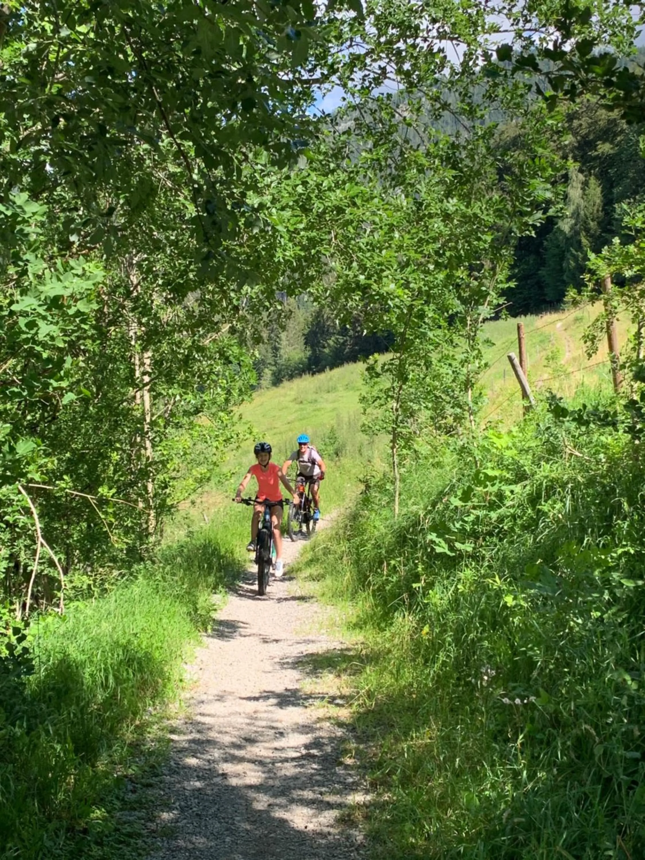 Cycling in Fleischerei - Apartments, Cafe & Weinbar