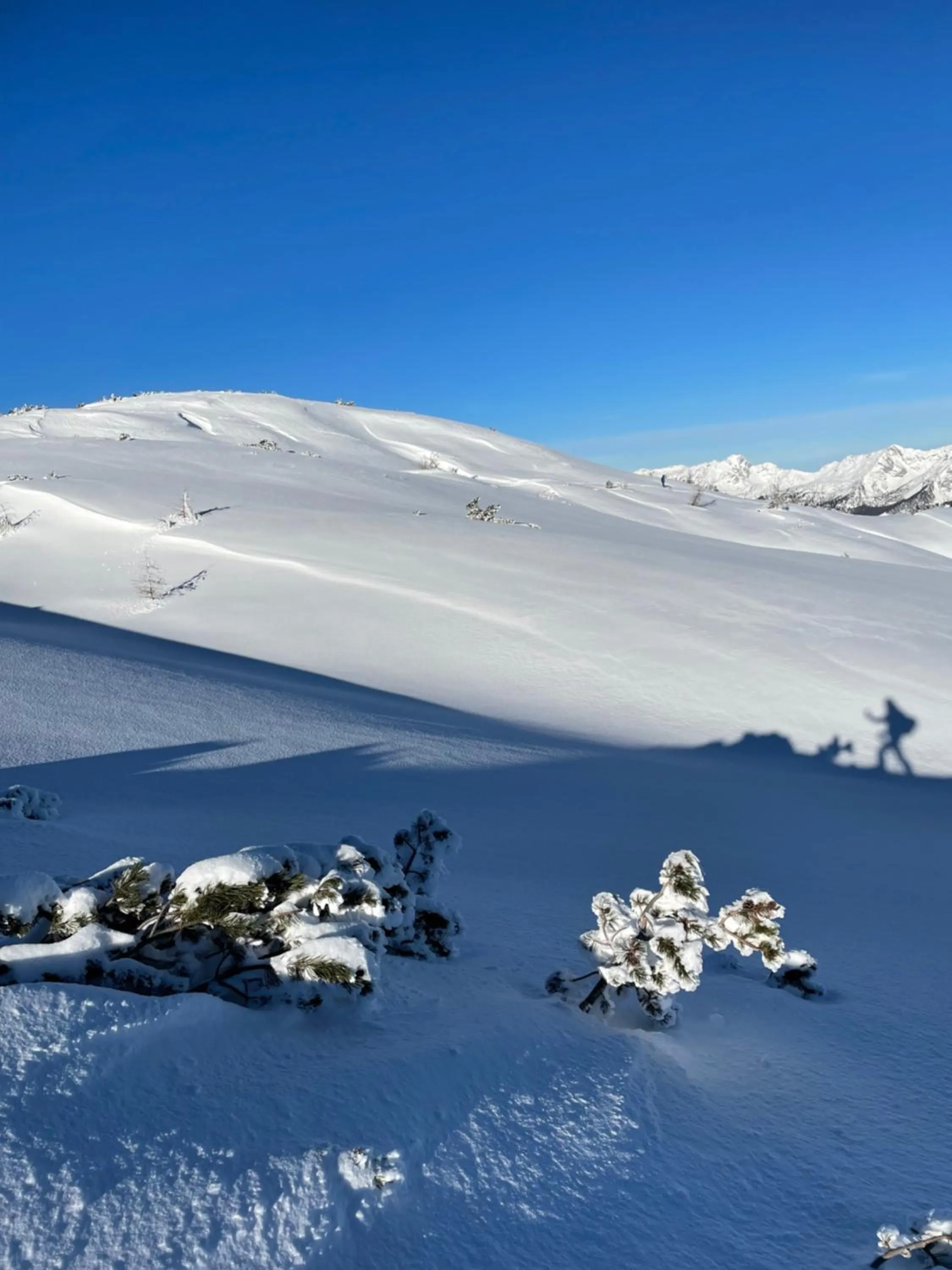 Skiing in Fleischerei - Apartments, Cafe & Weinbar