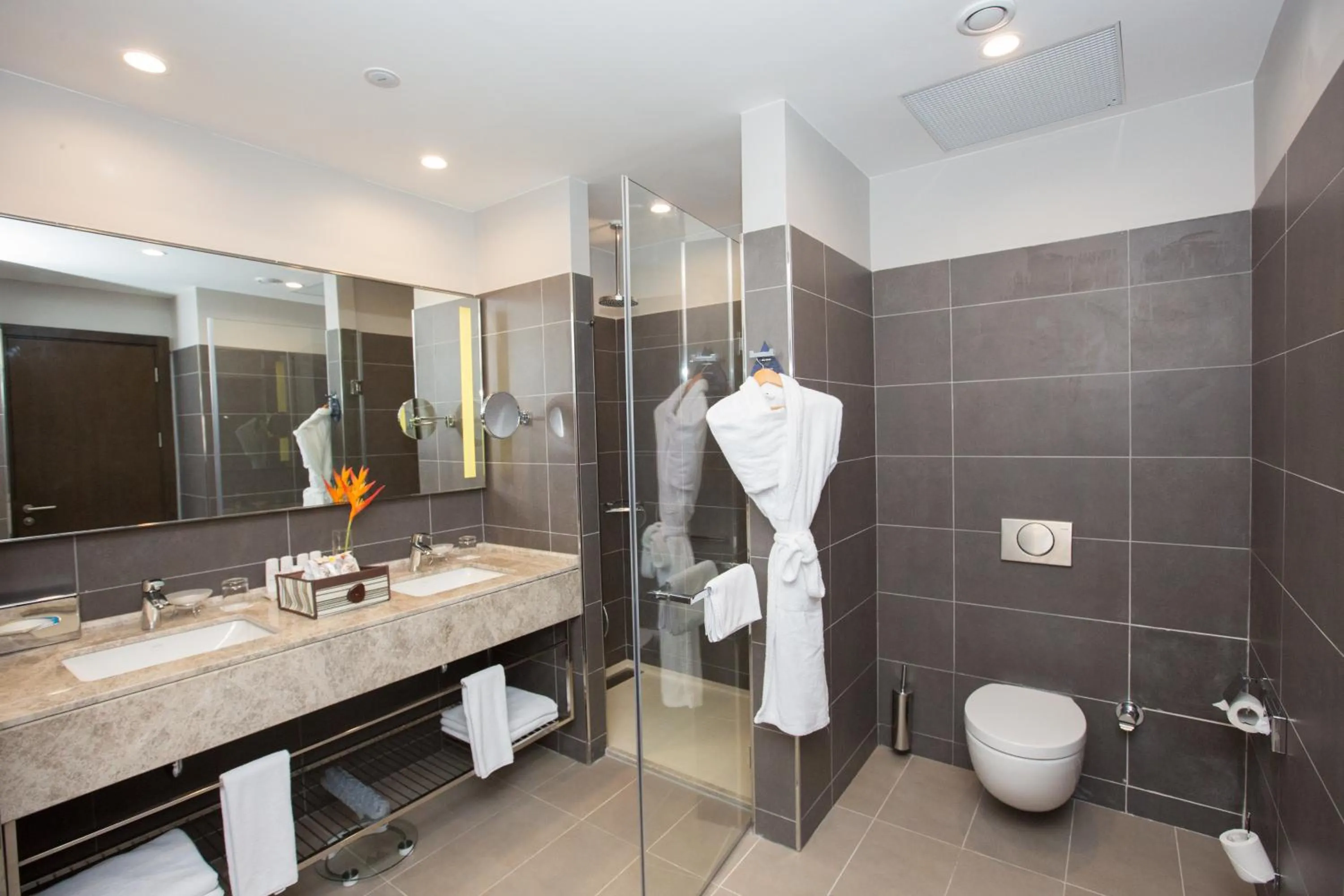 Bathroom in Radisson Blu Hotel, Abidjan Airport