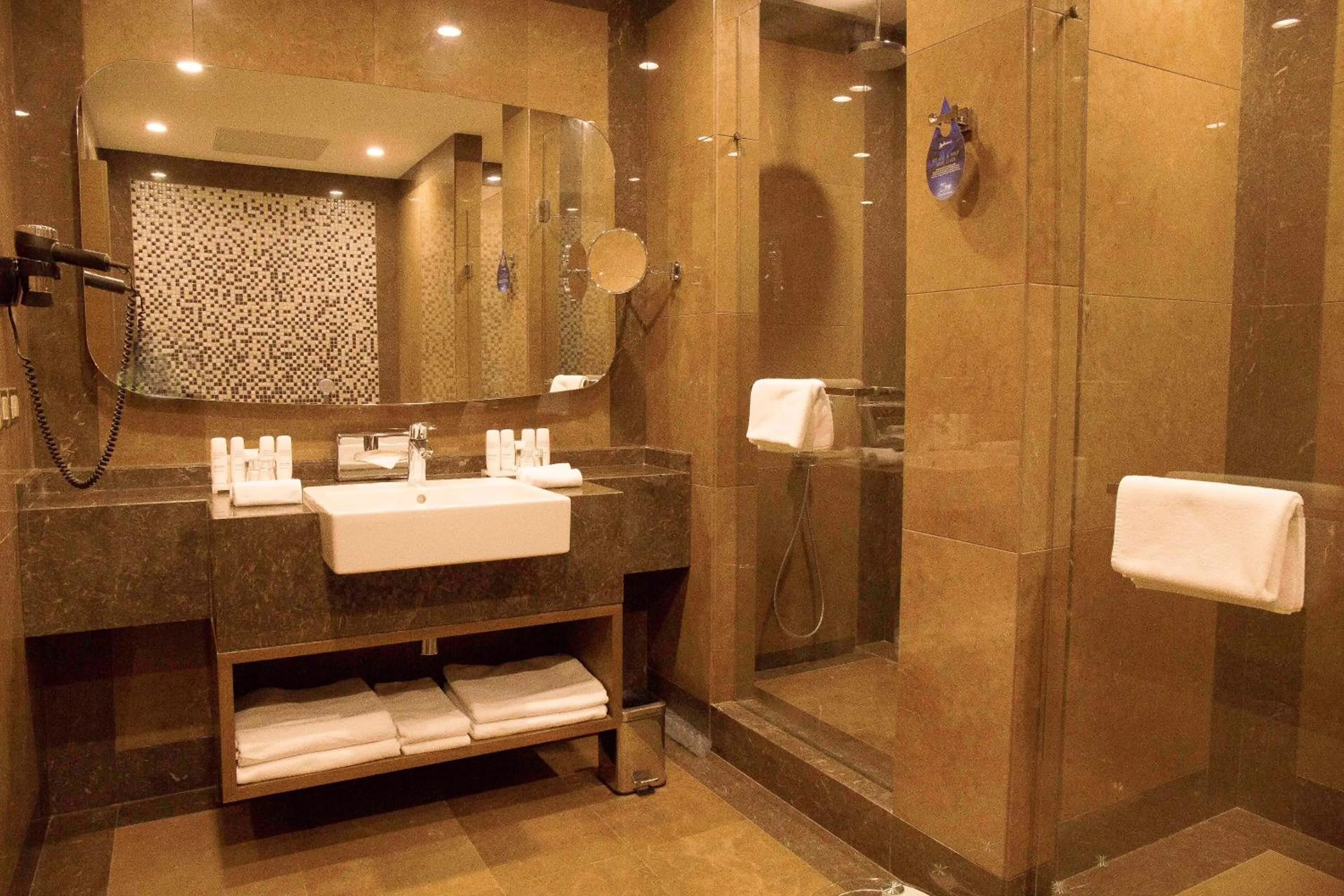 Bathroom in Radisson Blu Hotel, Abidjan Airport