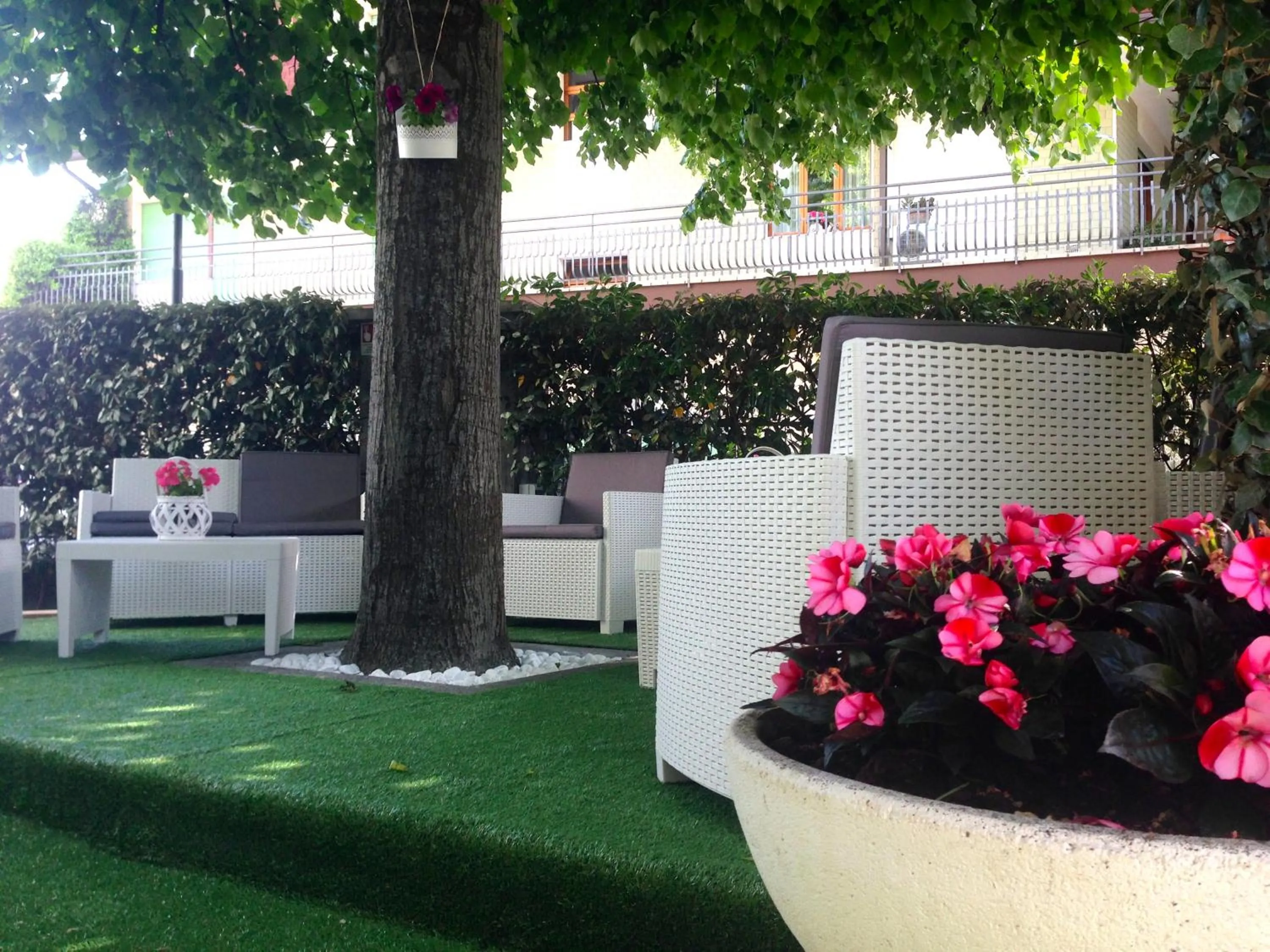 Natural landscape in Hotel Jole