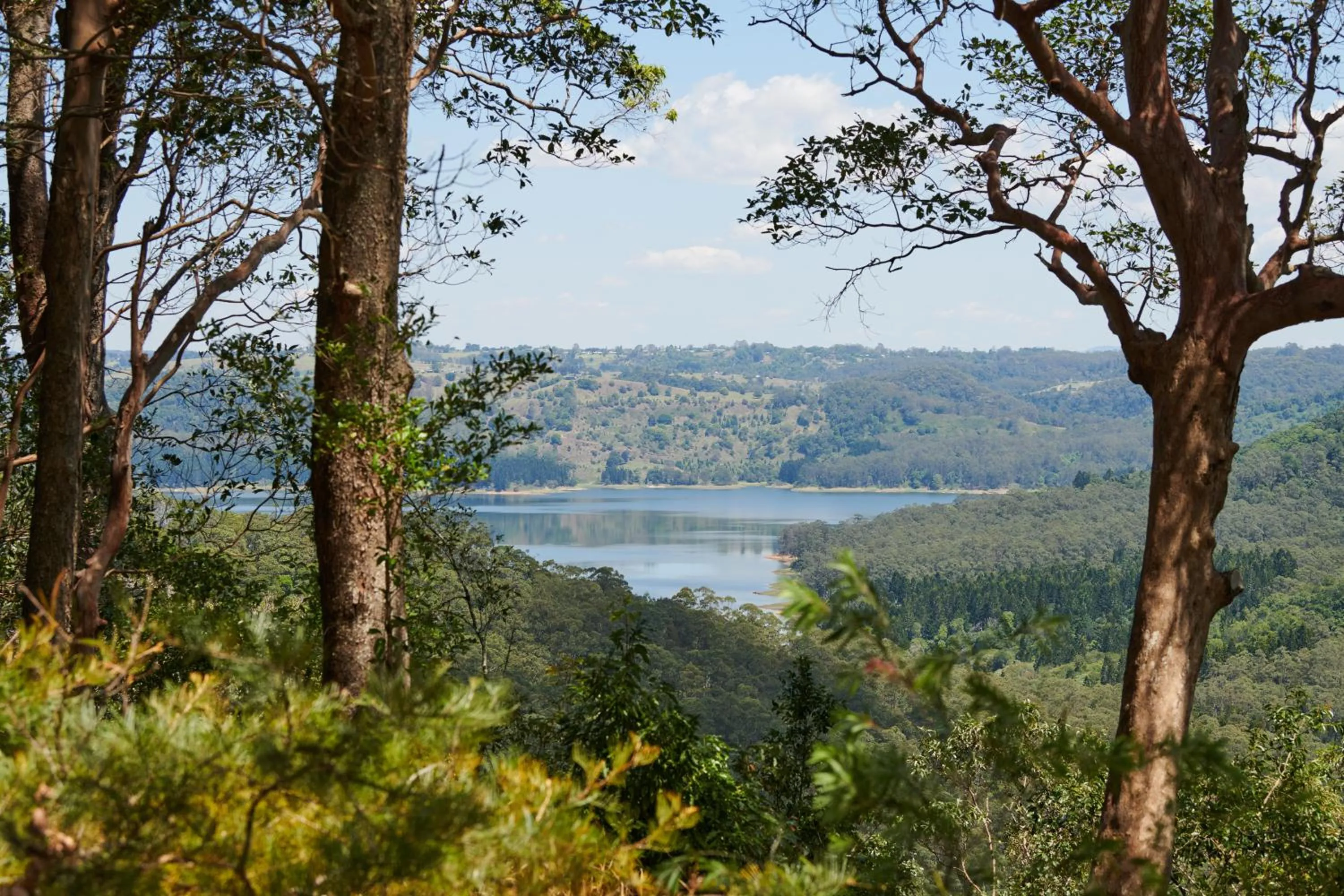 Lake view in Spicers Clovelly Estate
