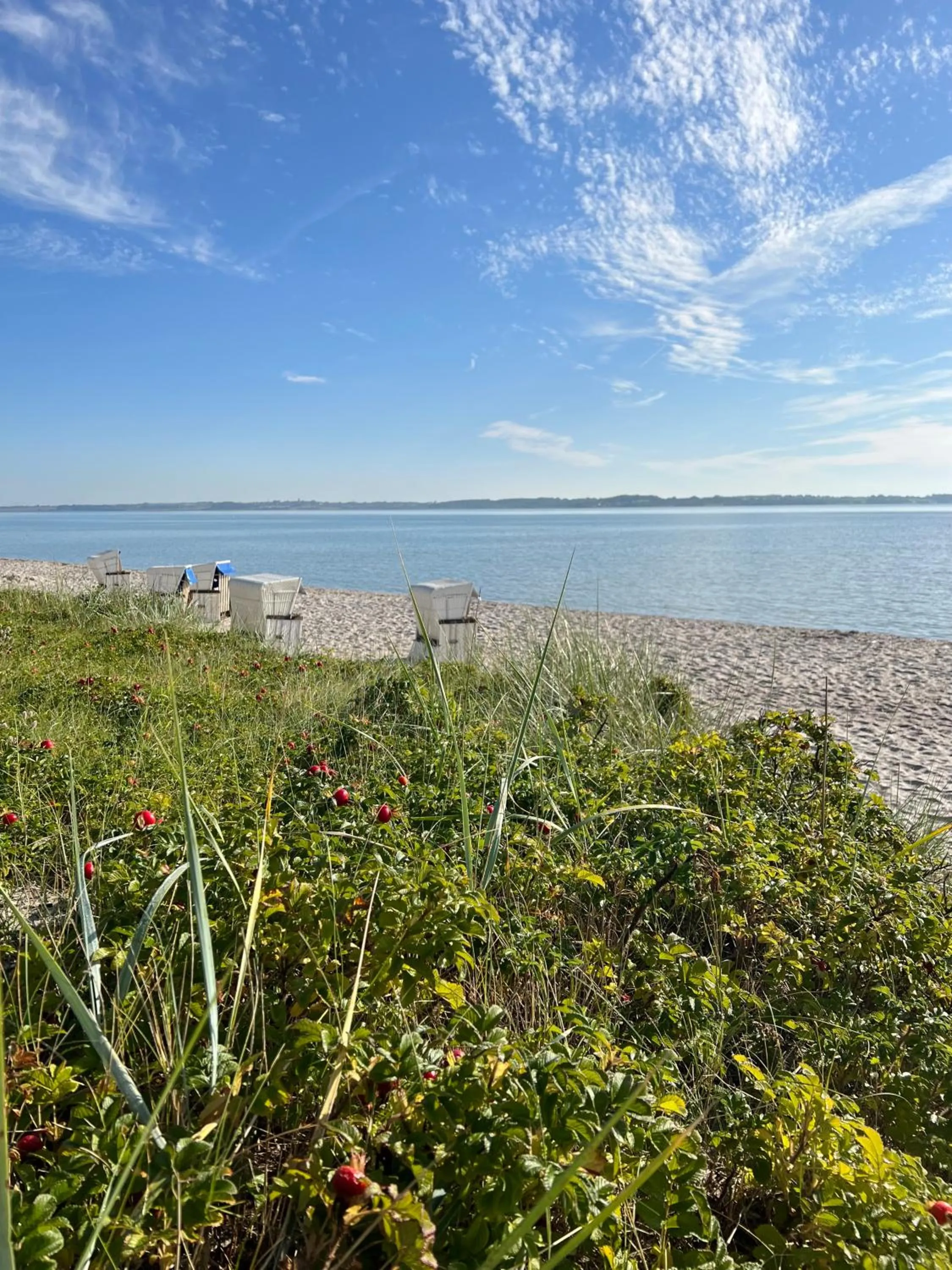 Beach in Ostsee-Strandhaus-Holnis