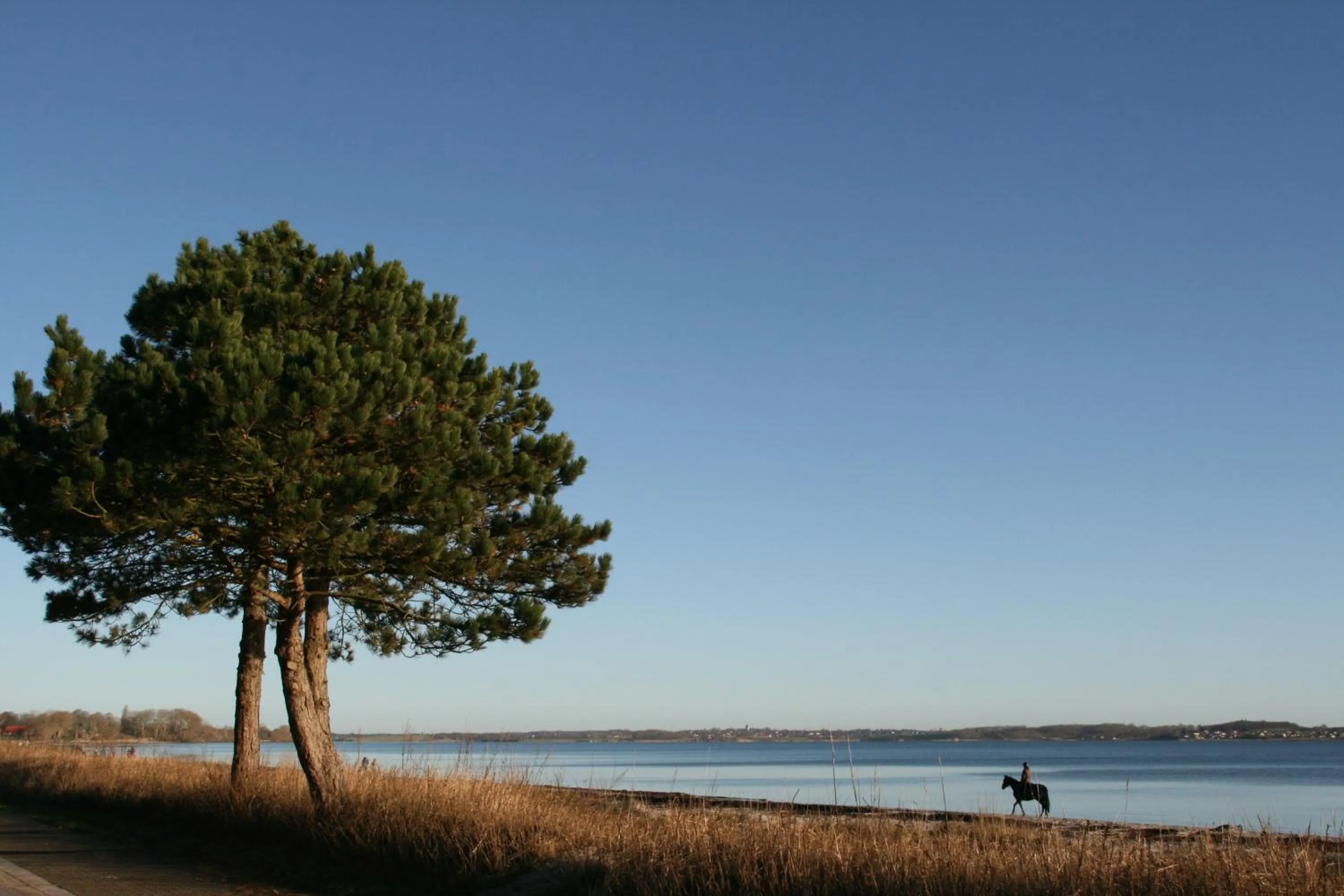 Horse-riding in Ostsee-Strandhaus-Holnis