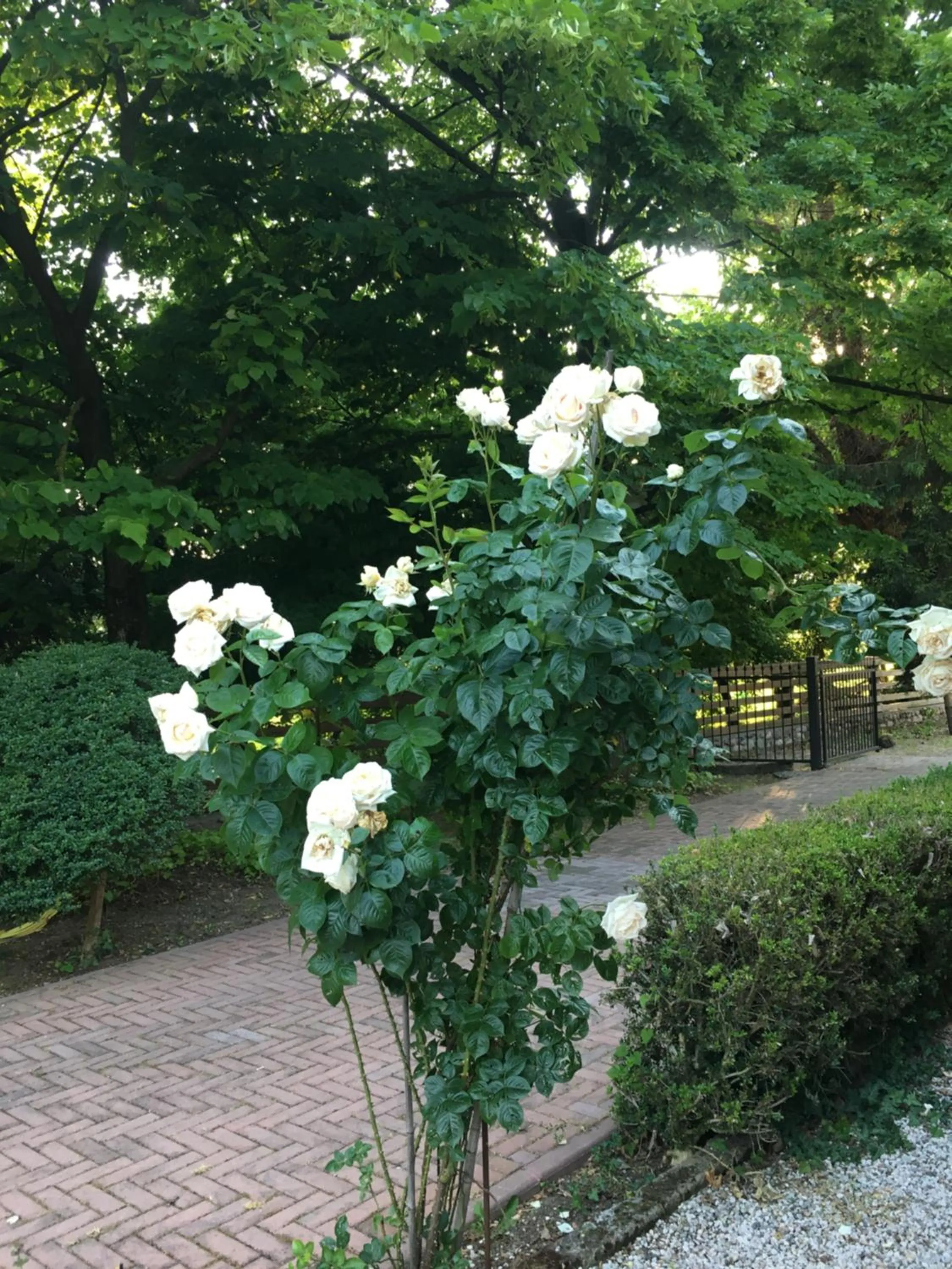 Garden in Resort La Mola