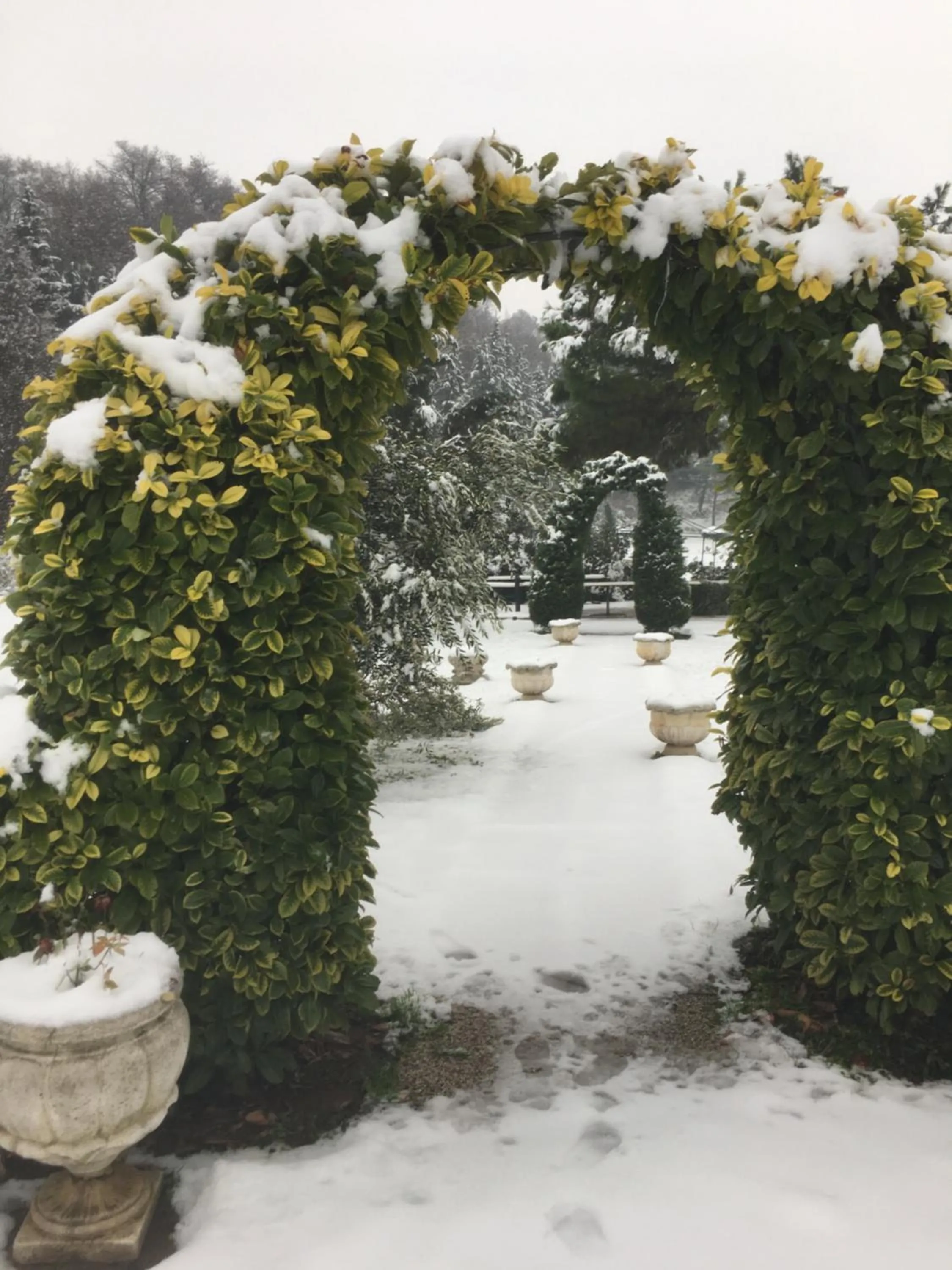 Winter in Resort La Mola