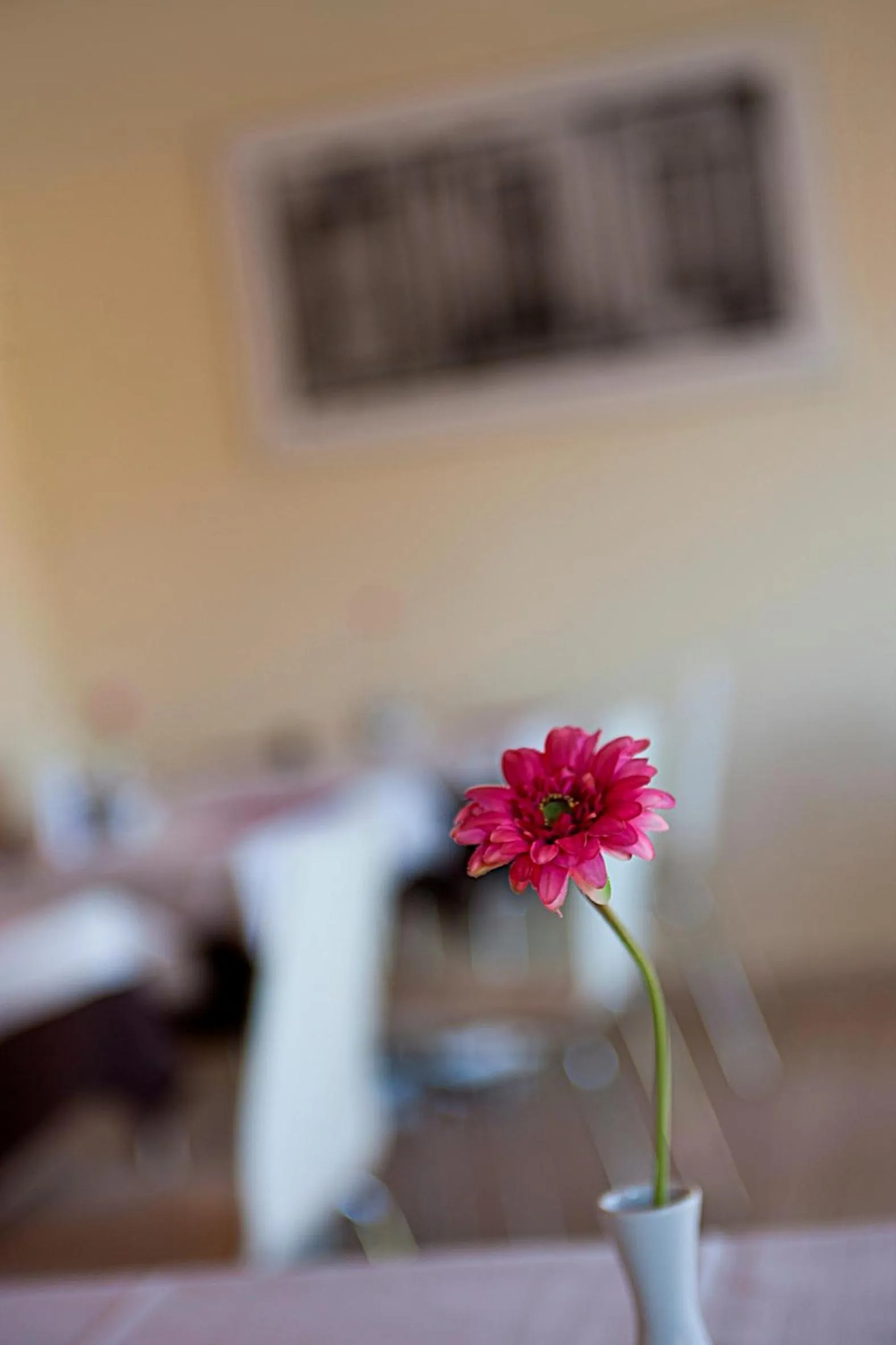 Other in Wellness Hotel Casa Barca (Adult Only)