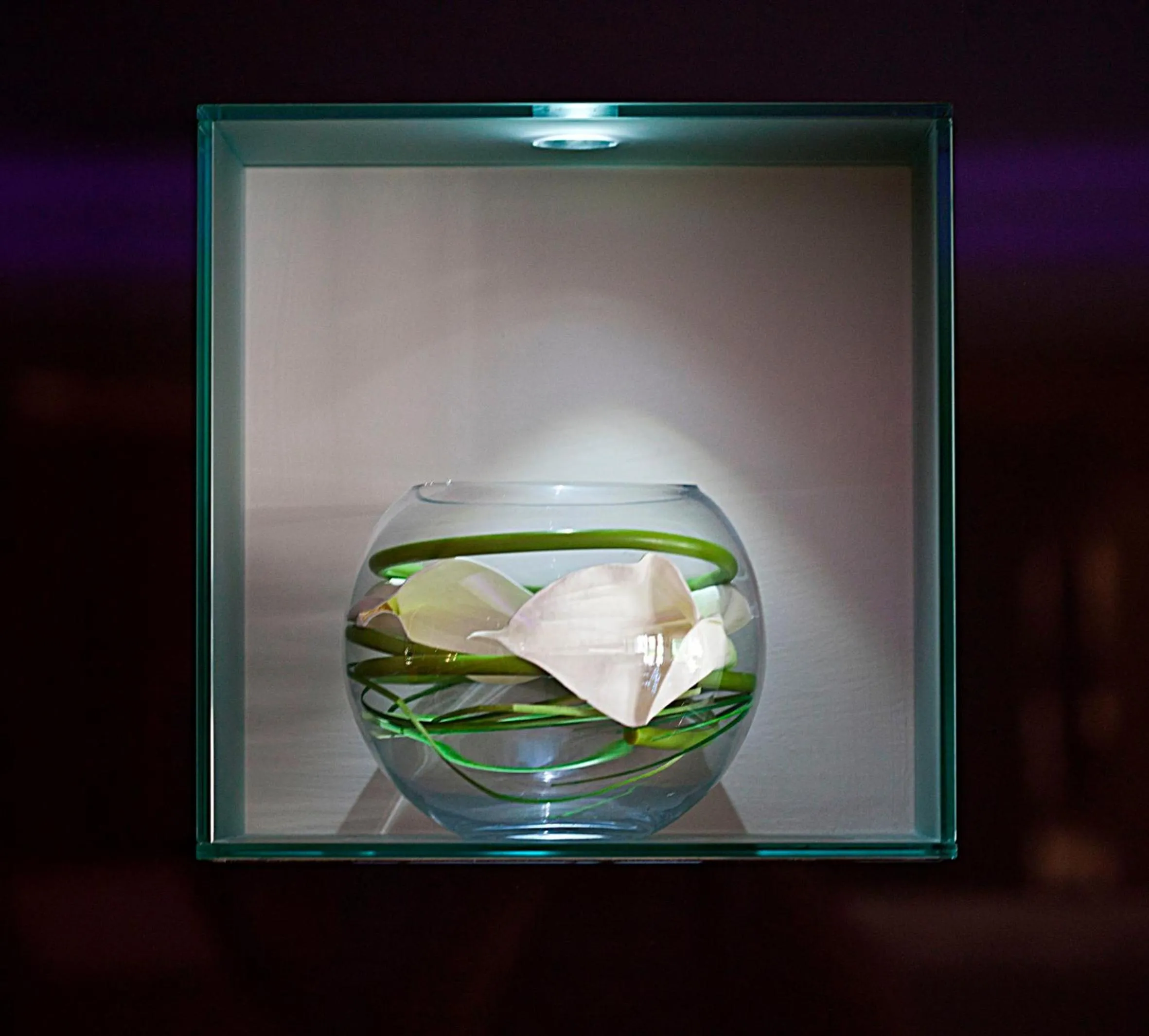 Other in Wellness Hotel Casa Barca (Adult Only)