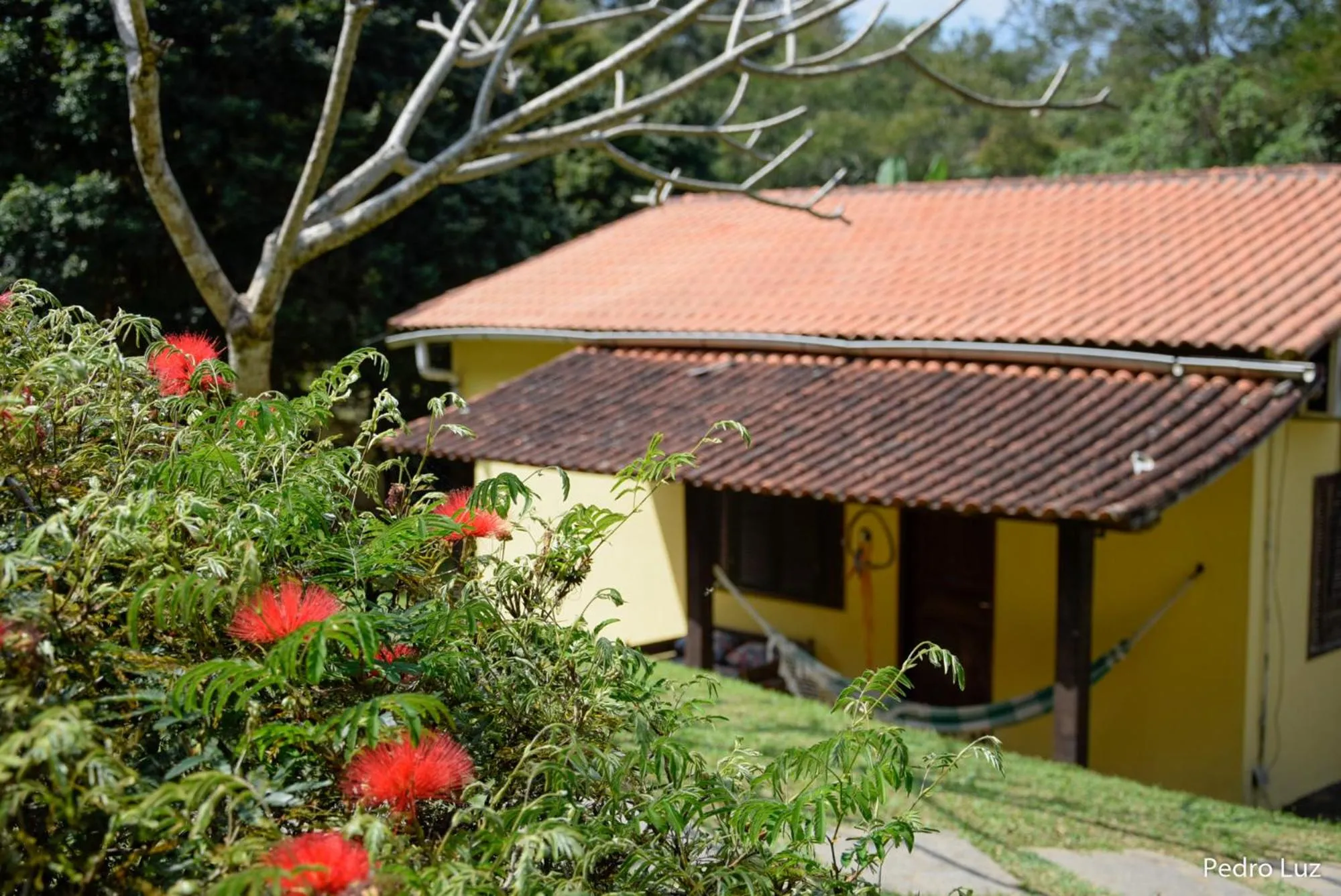 Family Suite in Pousada Bela Vista