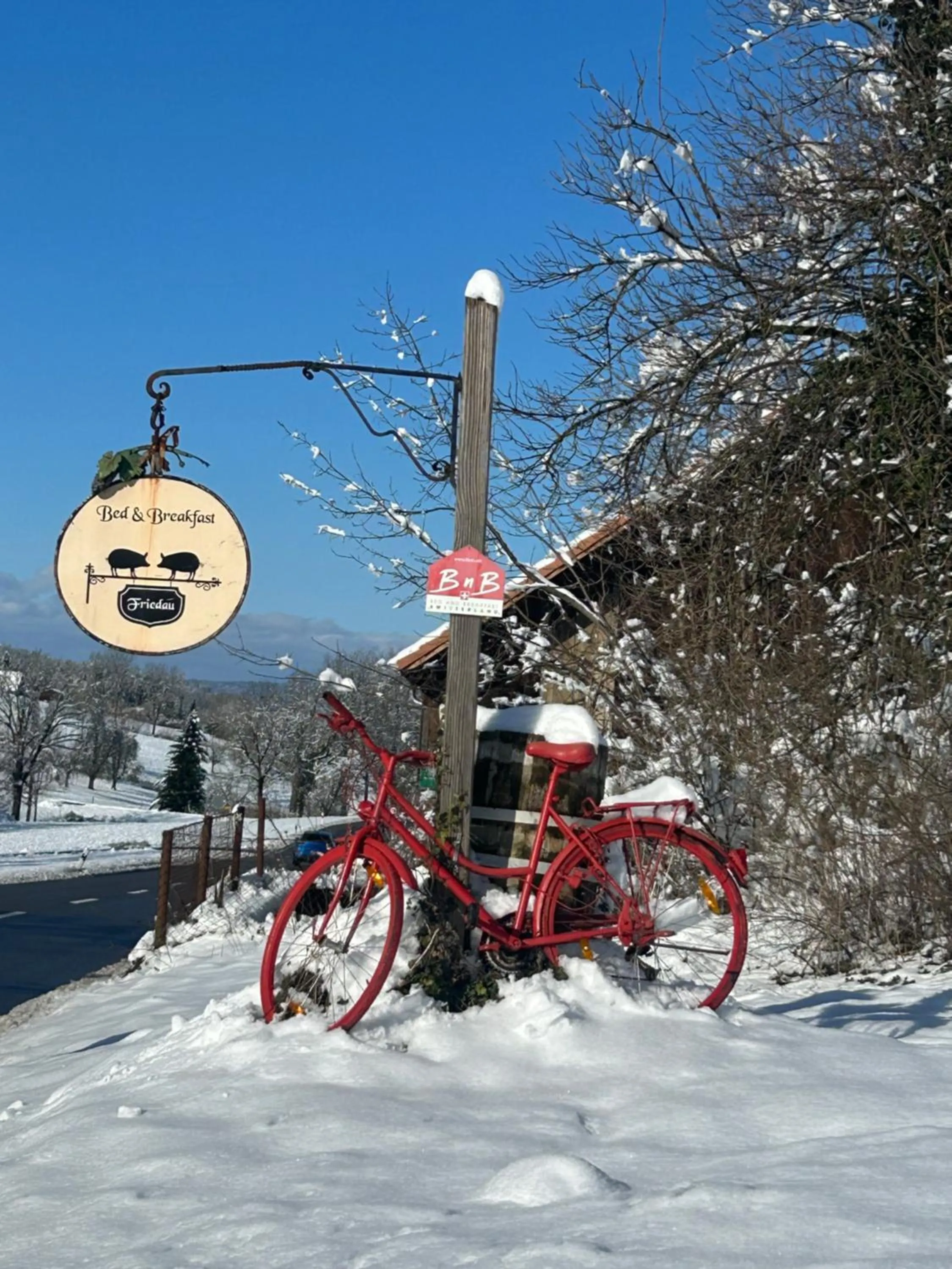 B&B Friedau