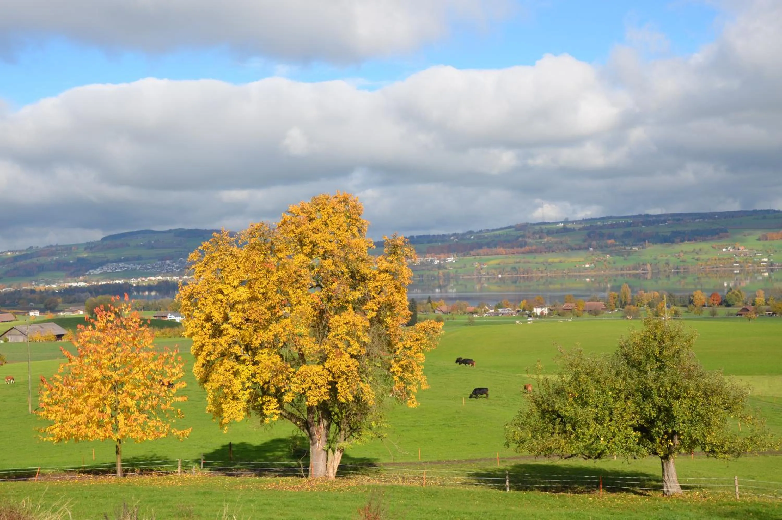 Natural landscape in B&B Friedau