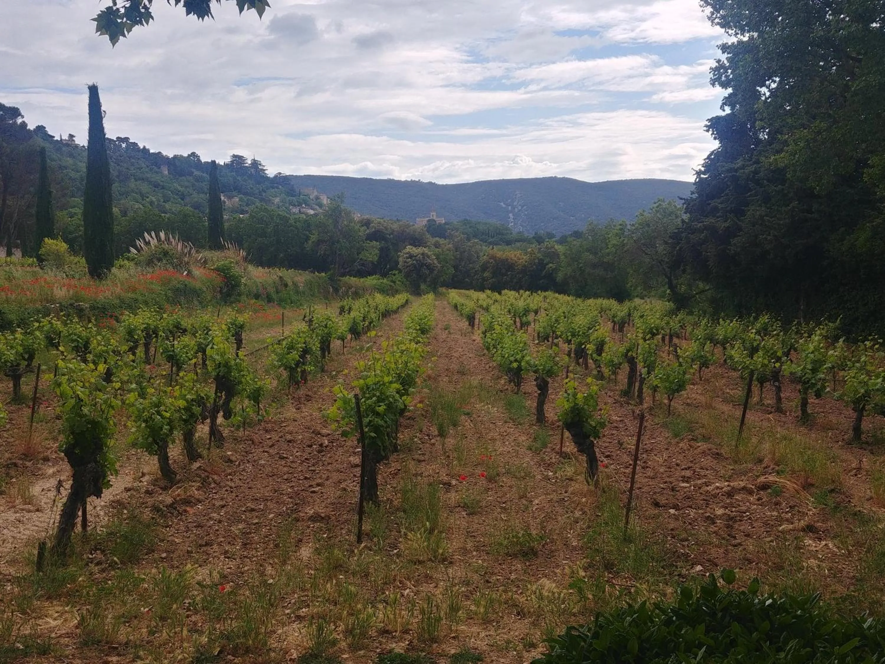Natural landscape in L'Aiguebelle