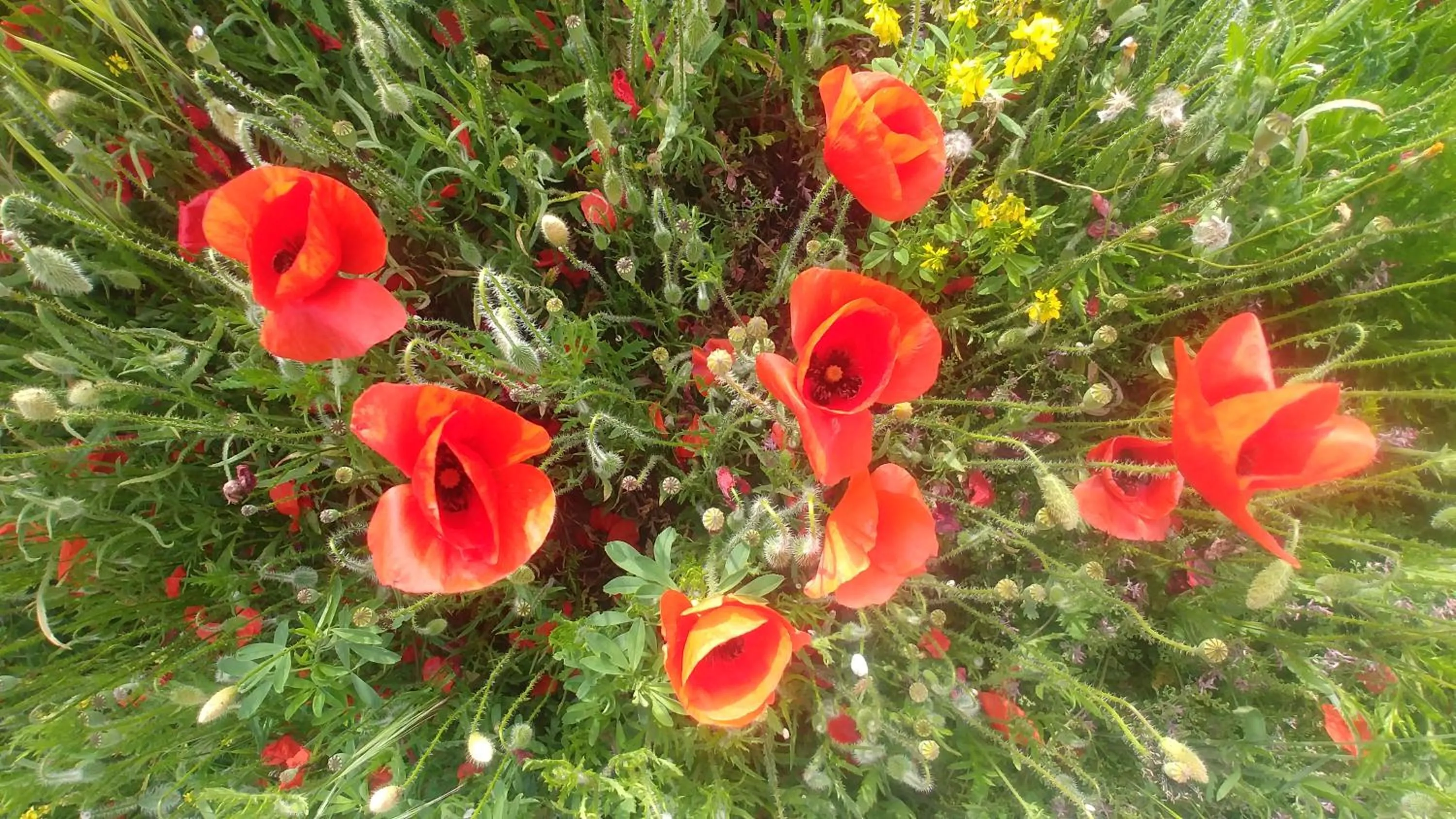 Natural landscape in L'Aiguebelle