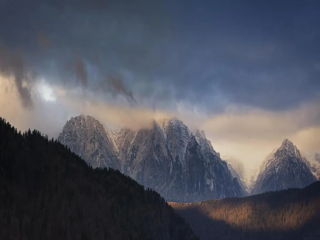 Other in Casa Ferica