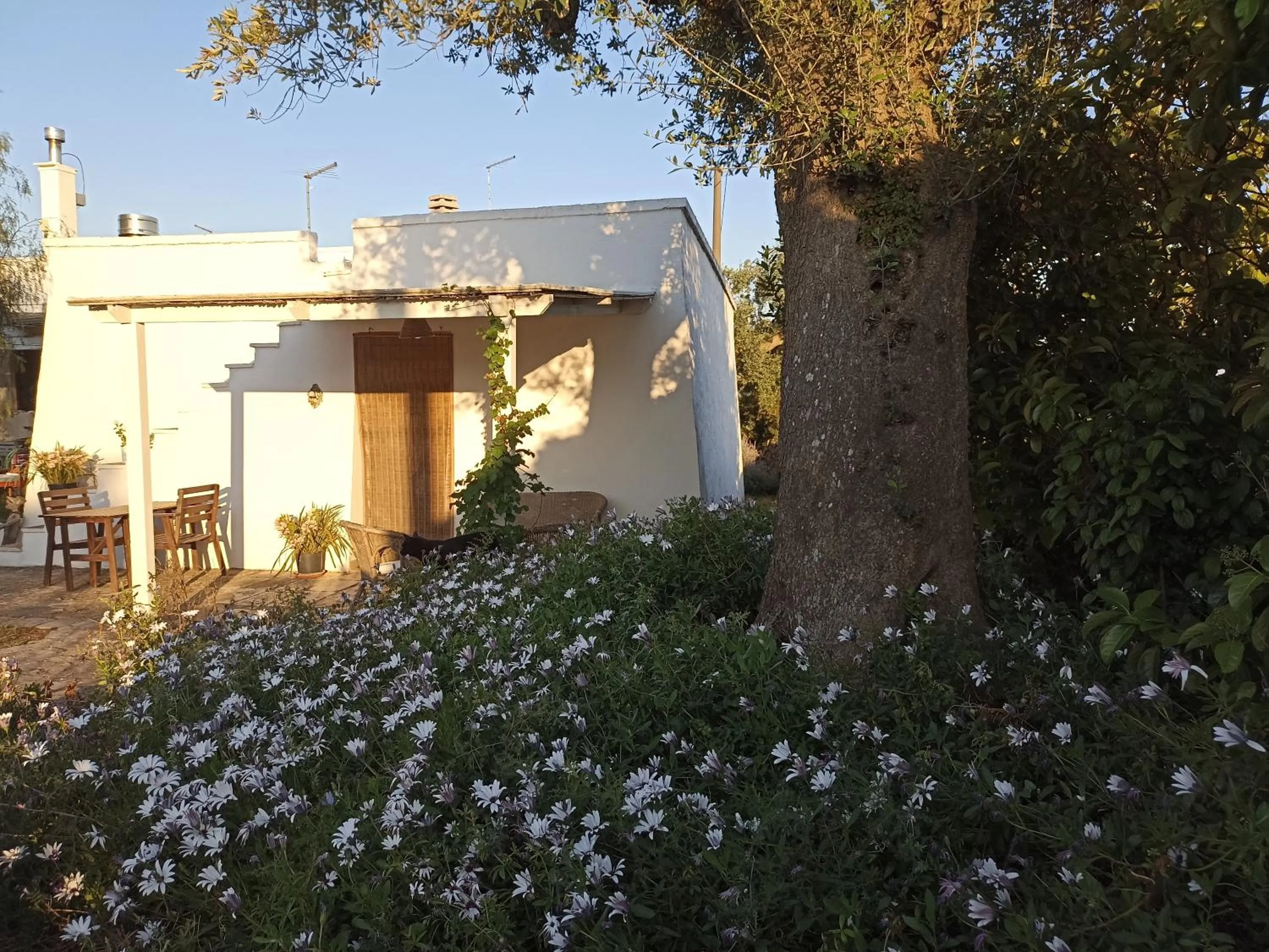 Property building in La casa degli artisti