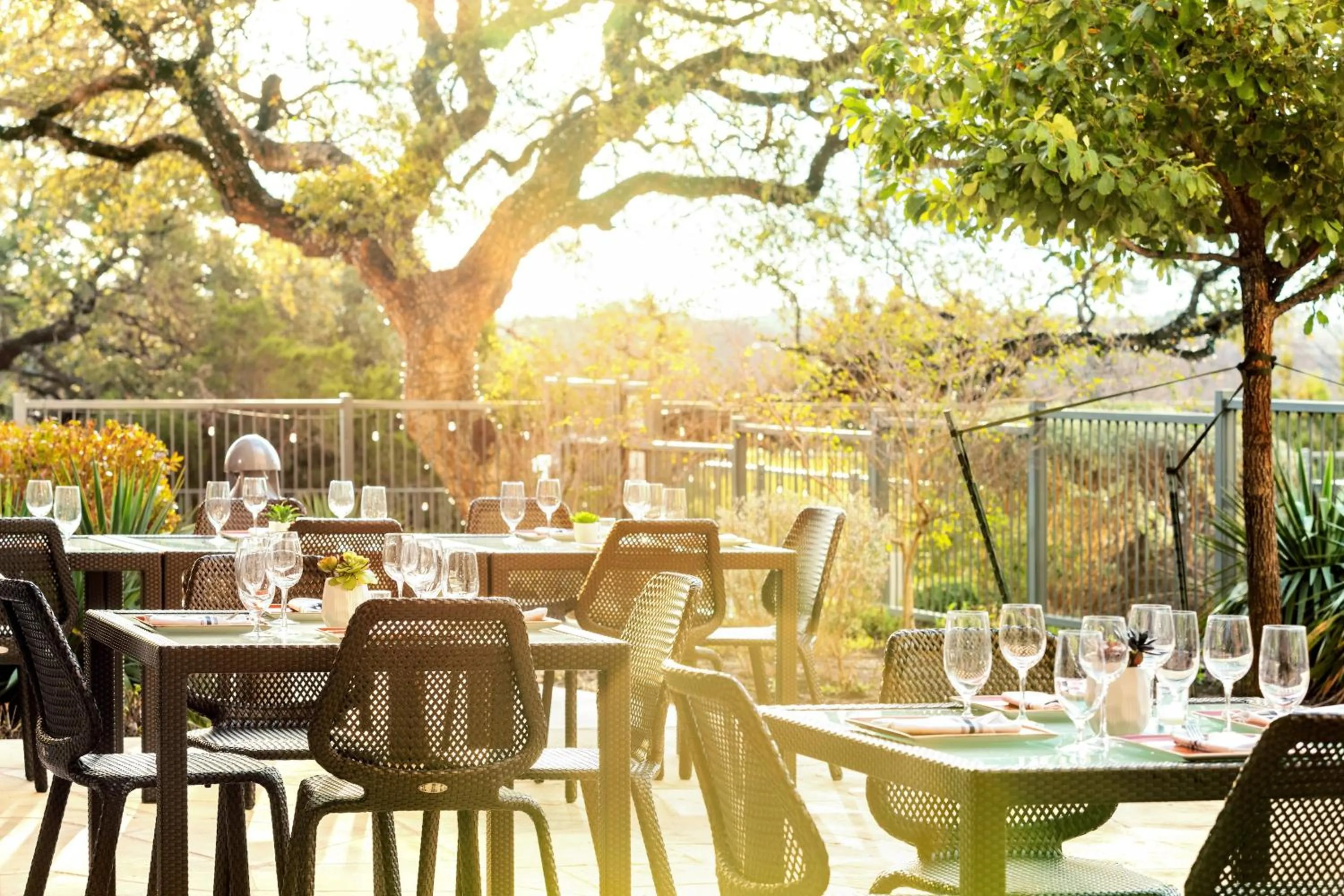 Restaurant/places to eat in Sheraton Austin Georgetown Hotel & Conference Center