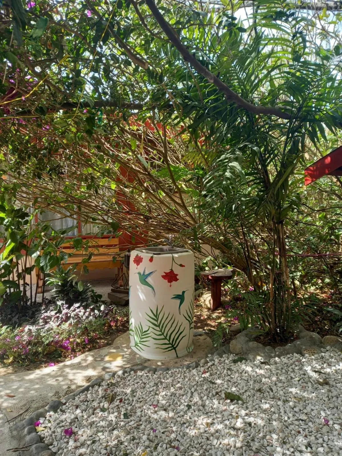 Garden in Pensión y Cabinas Colibrí B&B Costa Rica