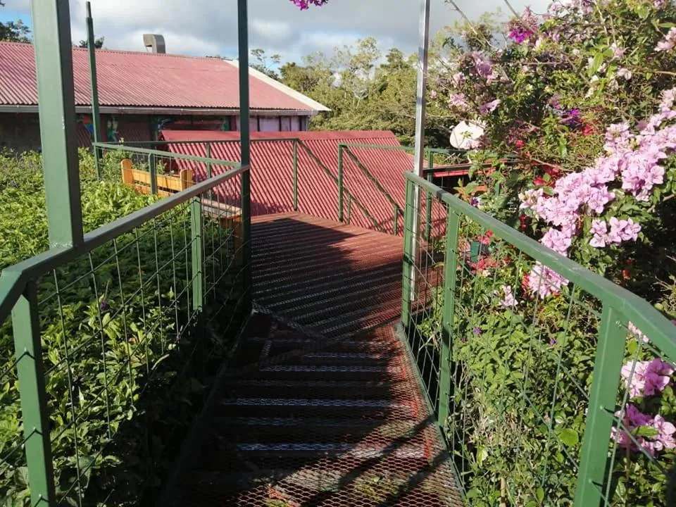 Garden view in Pensión y Cabinas Colibrí B&B Costa Rica