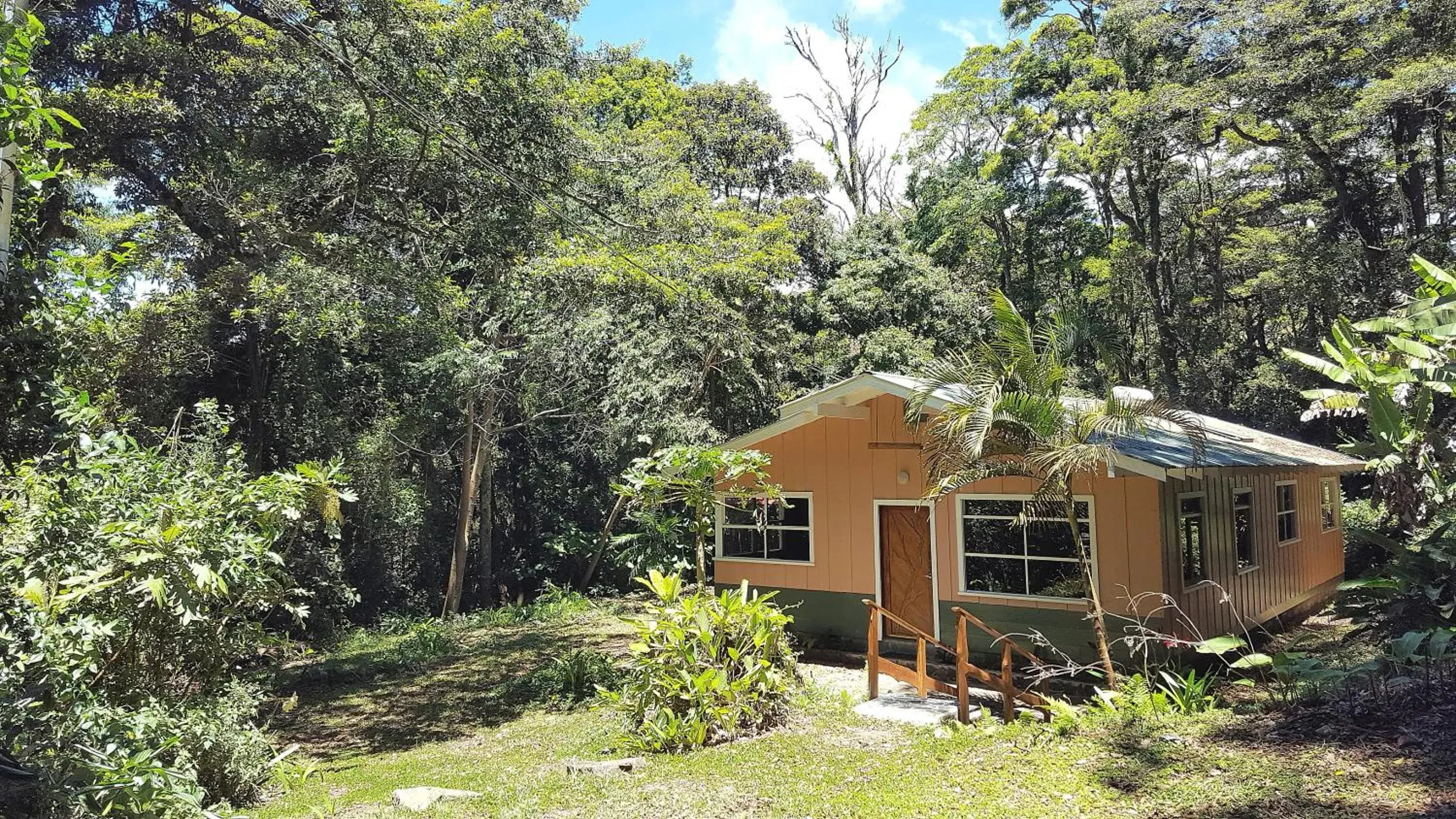 Forest Garden House Forest Garden House