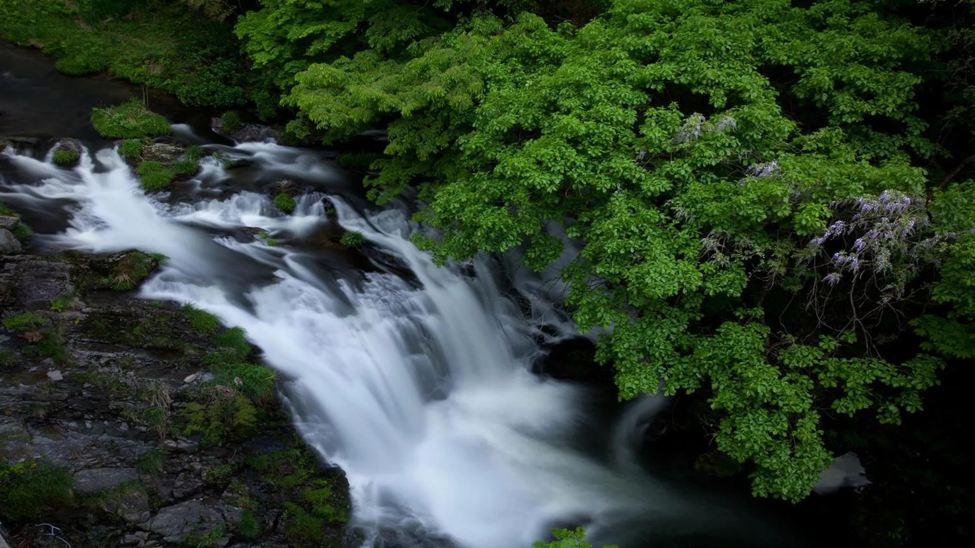 Aizu Higashiyama Onsen Shosuke no Yado Takinoyu since1880