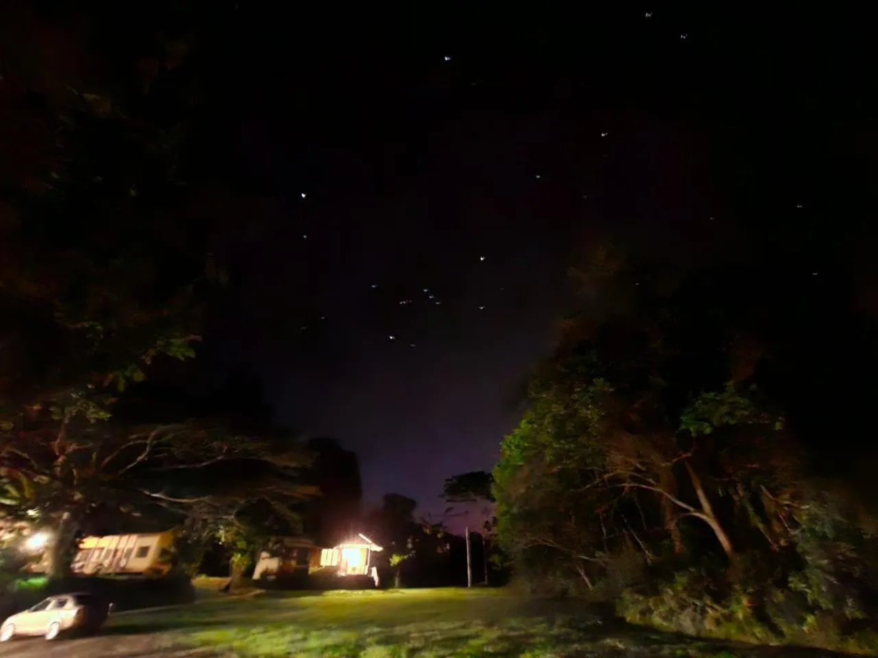 Night in Sepilok B&B