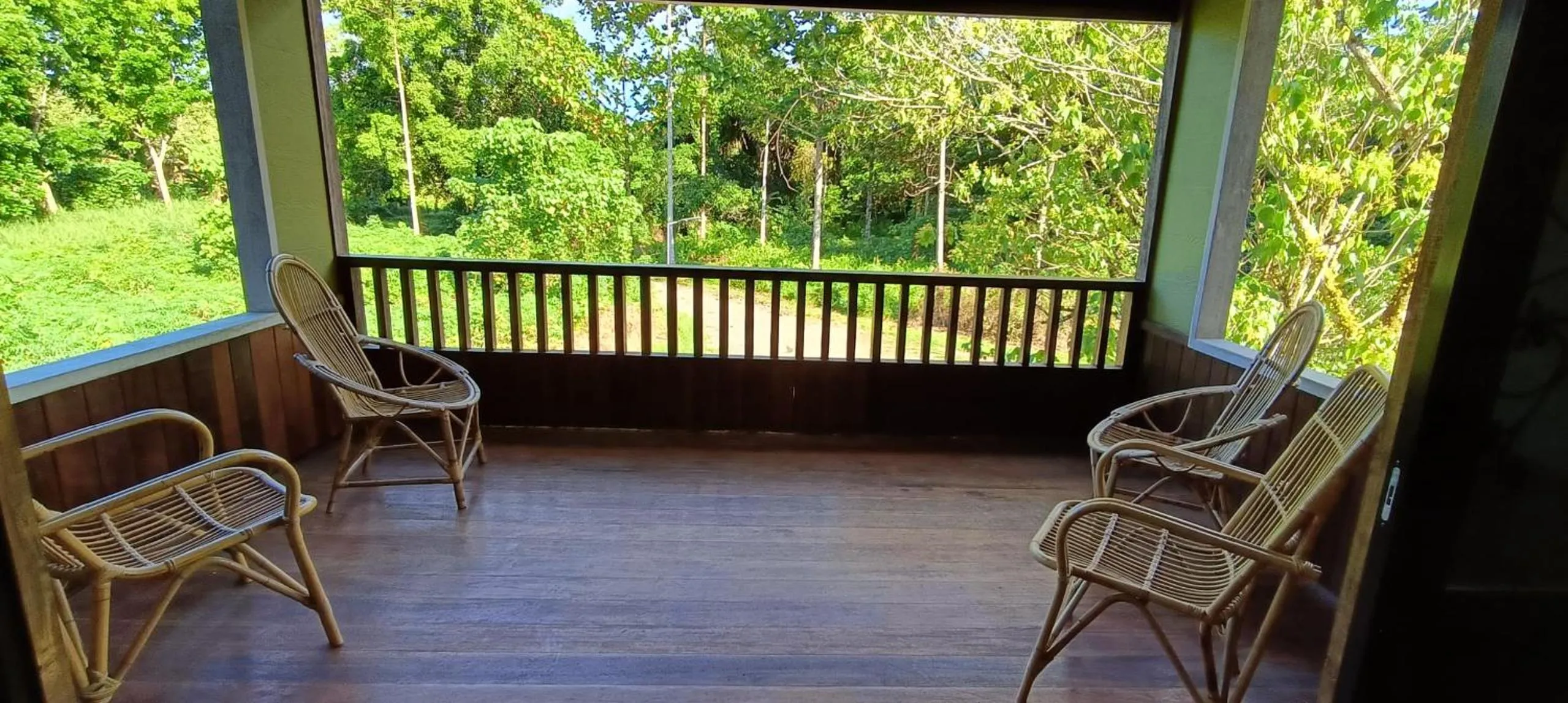 View (from property/room) in Sepilok B&B