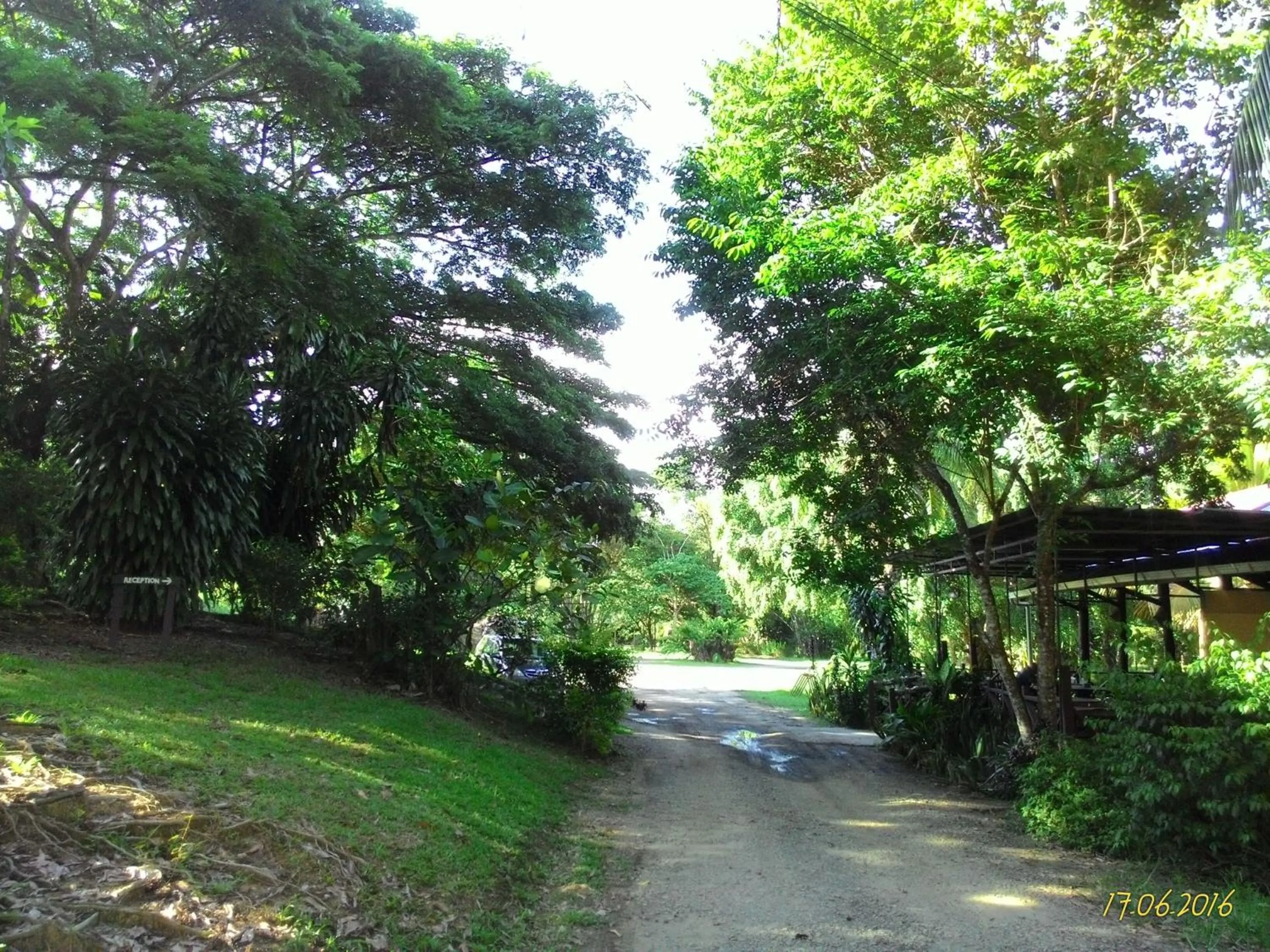 Garden in Sepilok B&B