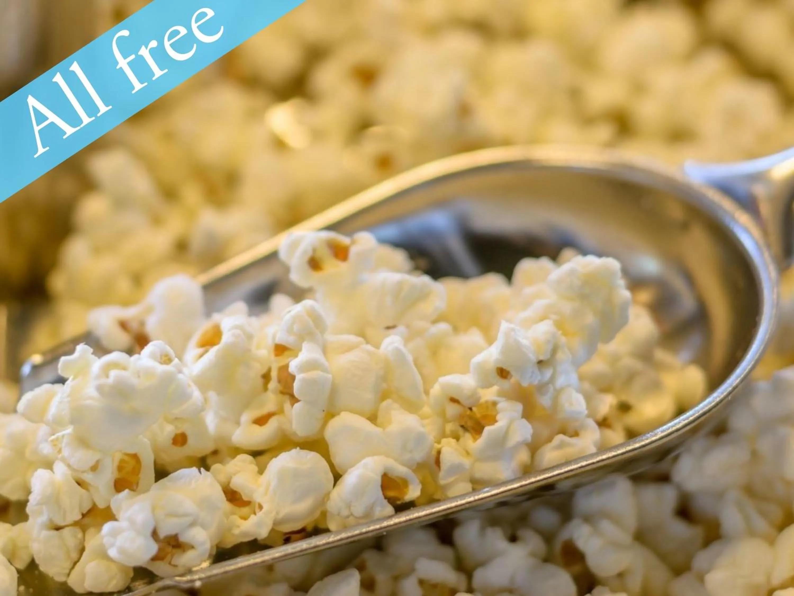 Communal lounge/ TV room in 安心お宿 Tokyo Woman 新宿荻窪店