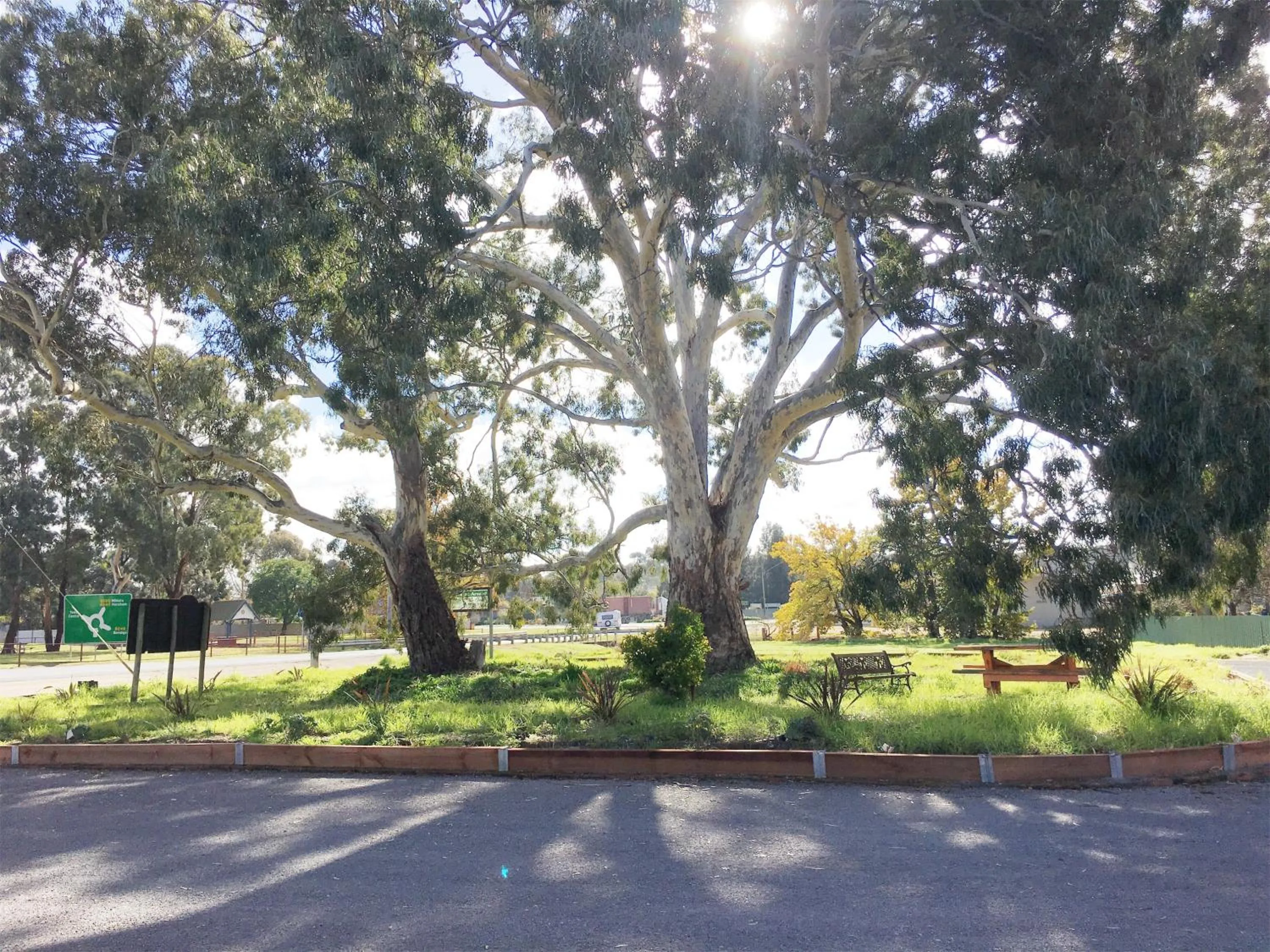 Garden in Motel St Arnaud
