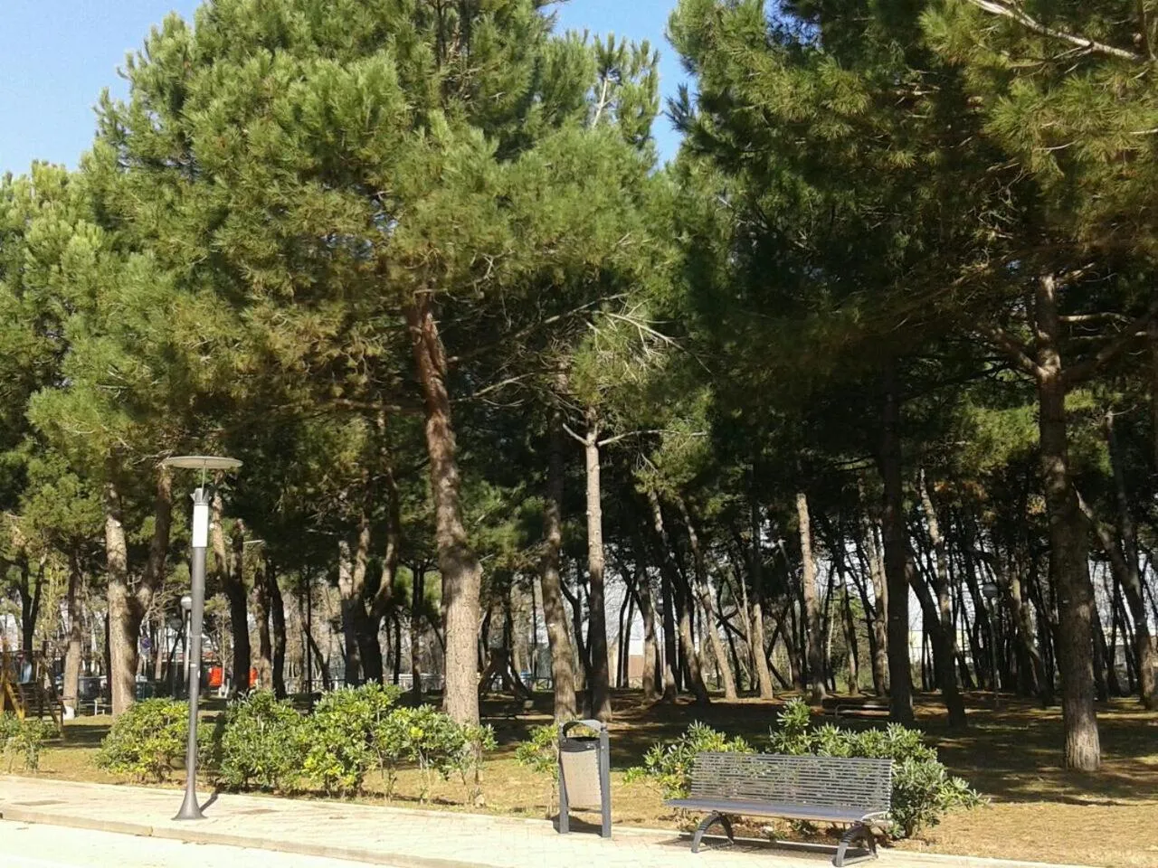 Natural landscape in Hotel Krone