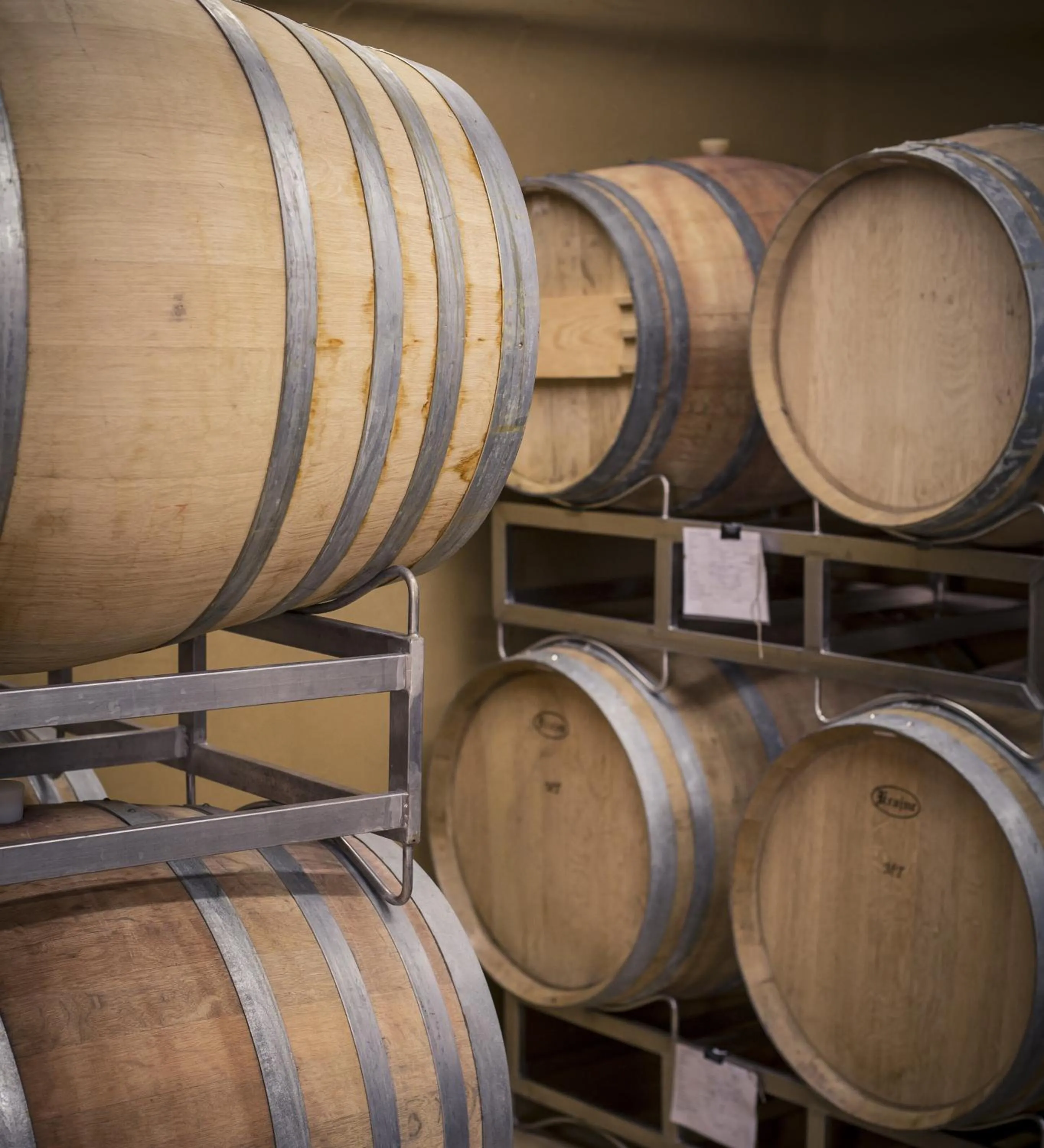 Banquet/Function facilities in Bio Weingut Georgium