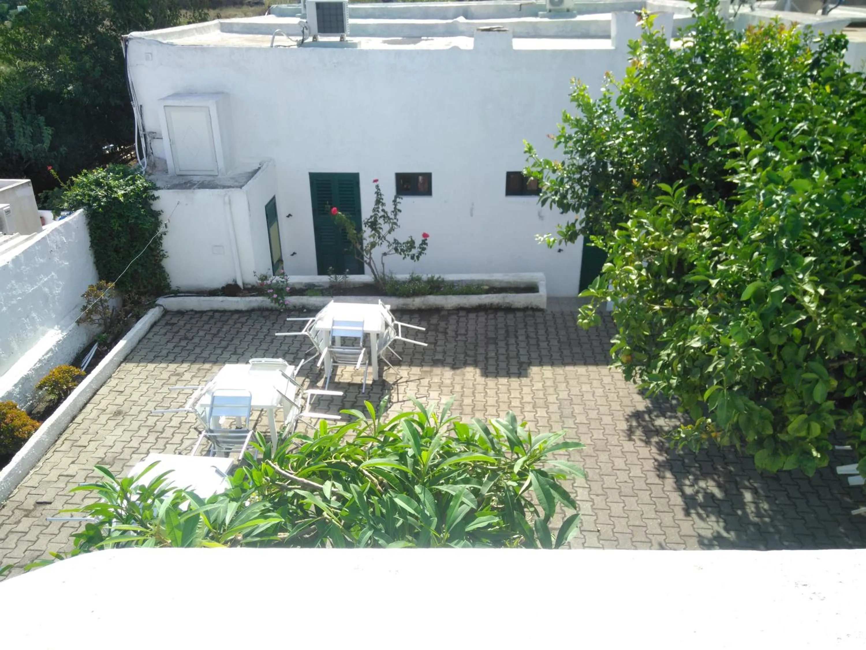 Garden in Villa Petrusa