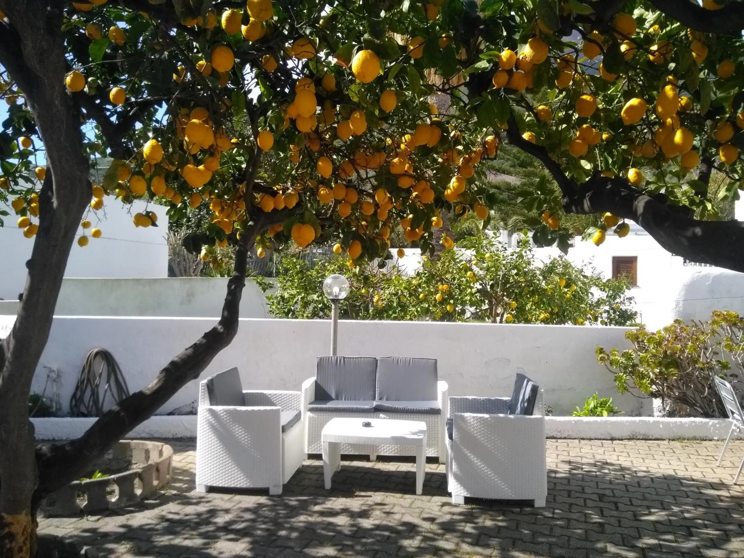Patio in Villa Petrusa