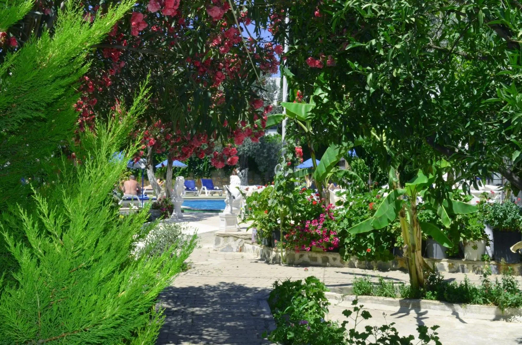 Garden in Ali Baba Hotel Gümbet