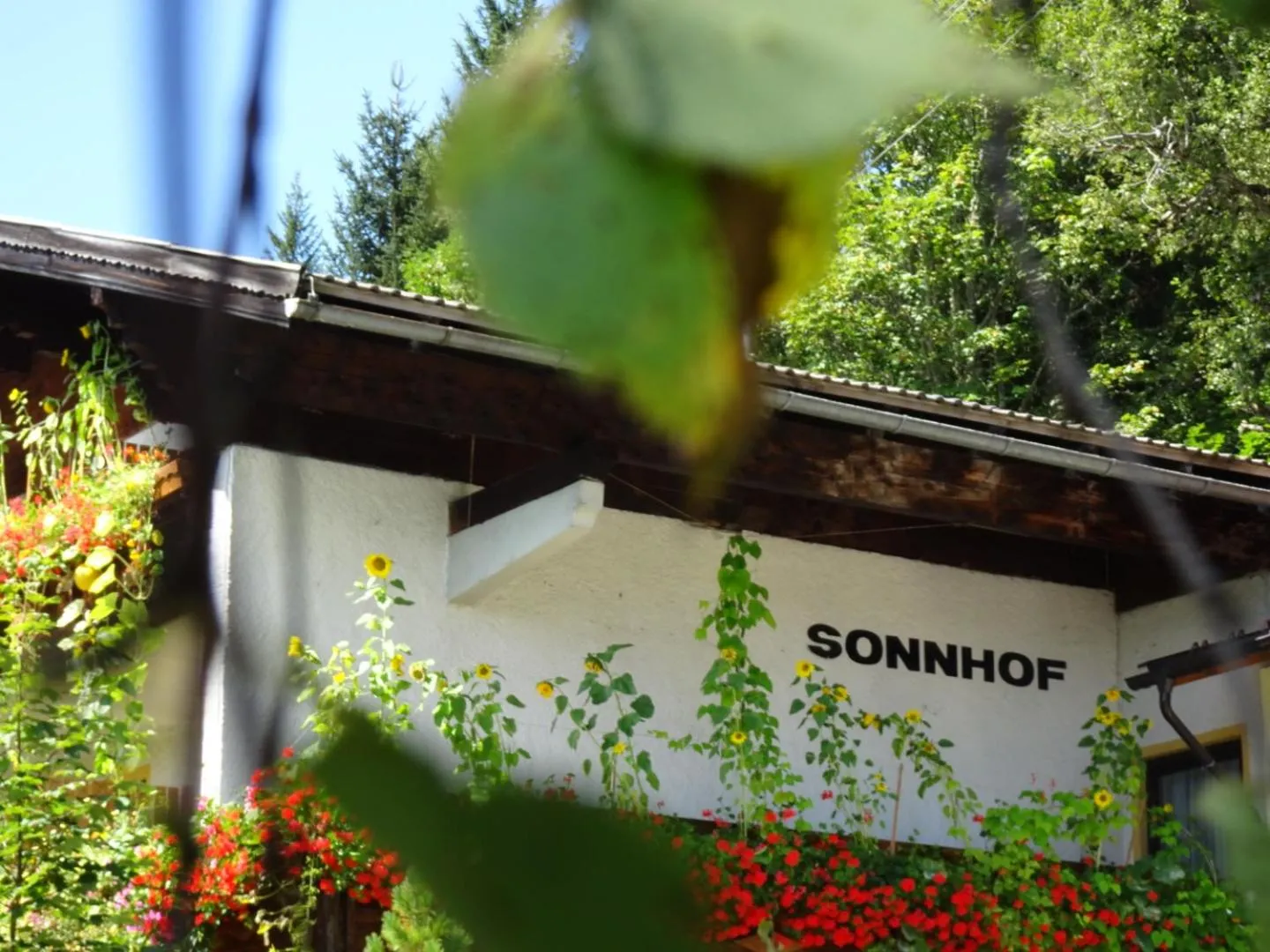 Pension Sonnhof