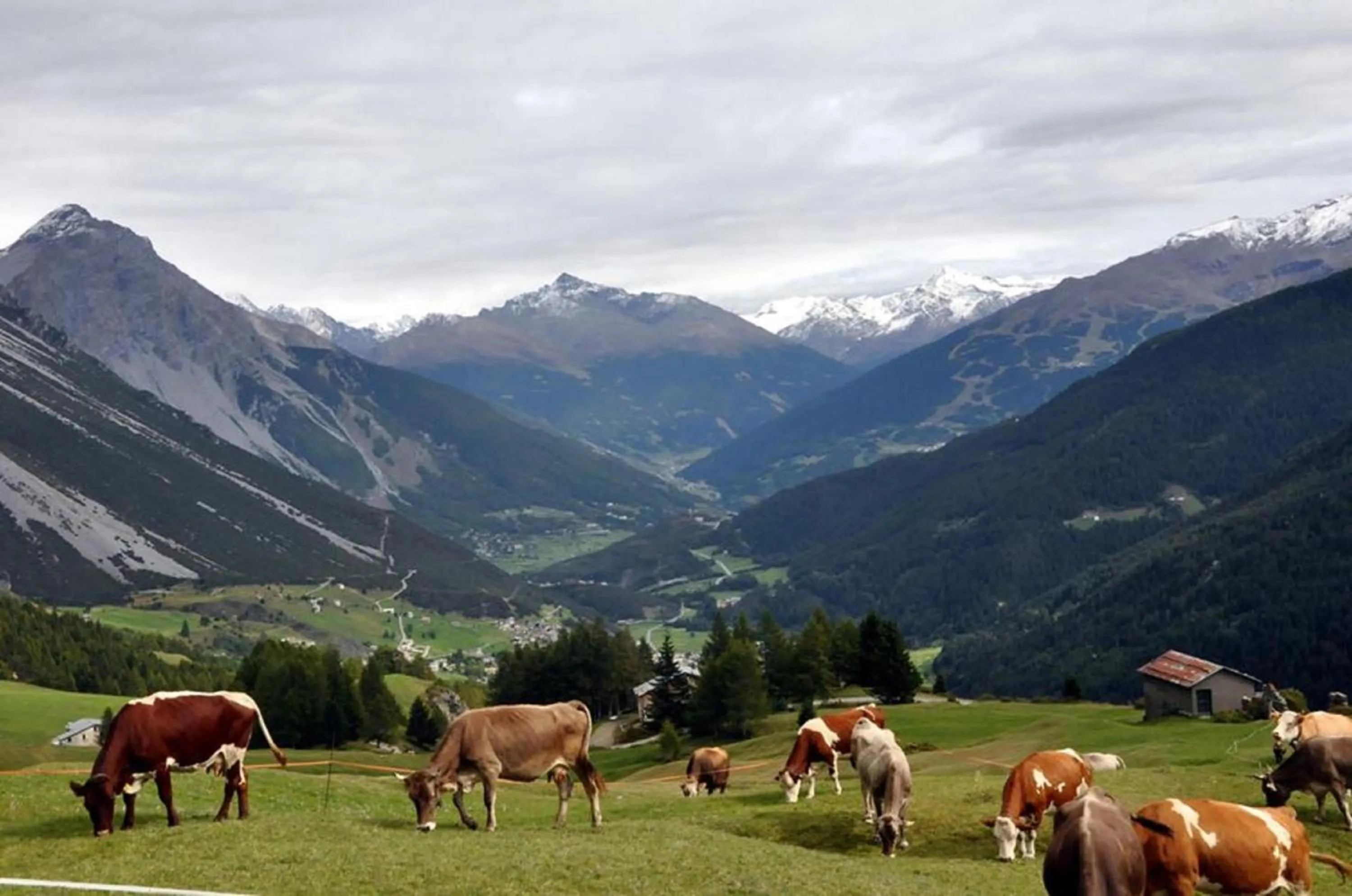 Natural landscape in Rosengarden Alpine Residence