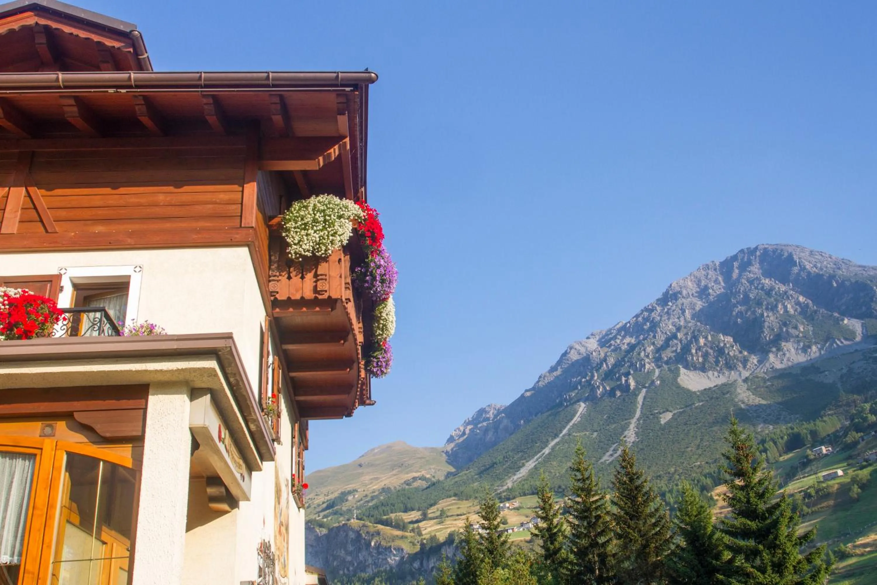 View (from property/room) in Rosengarden Alpine Residence