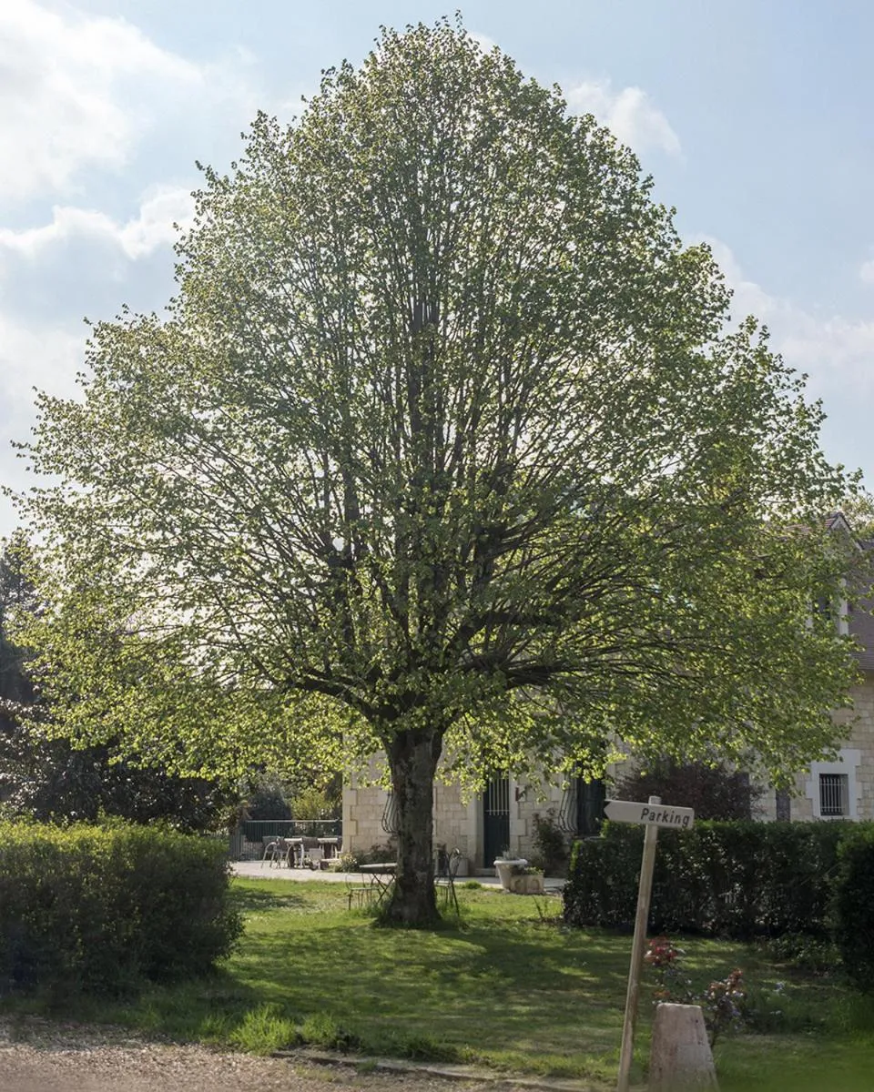 Les Aulnaies - B&B