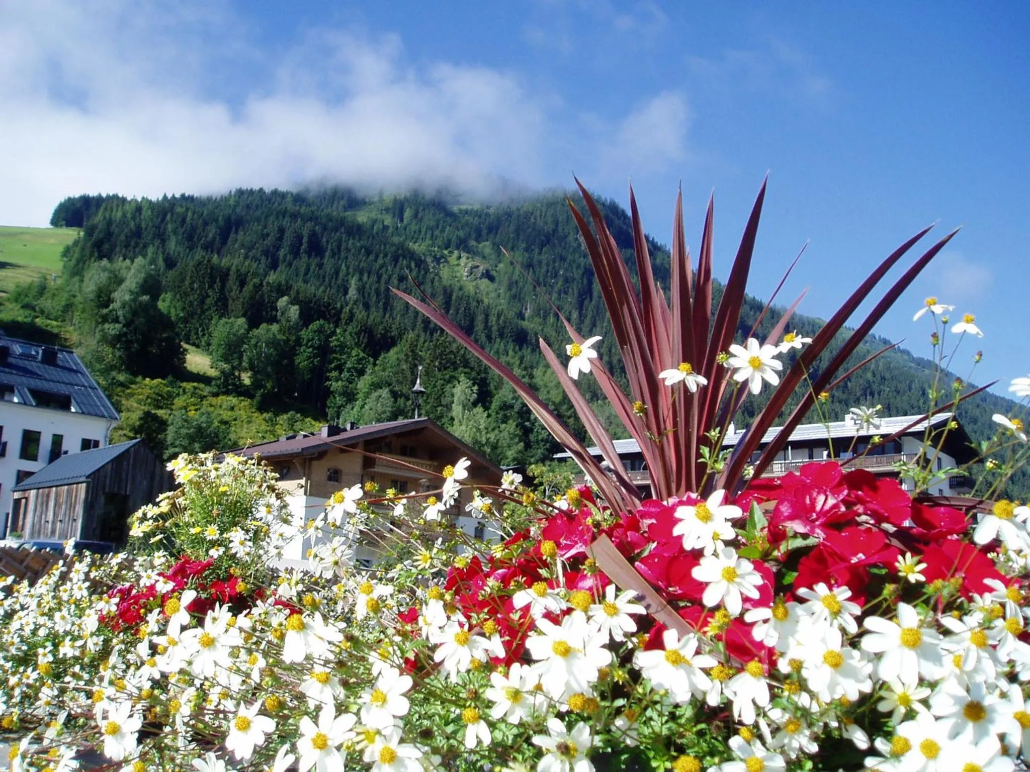 Natural landscape in Am Zwölferkogel Appartements