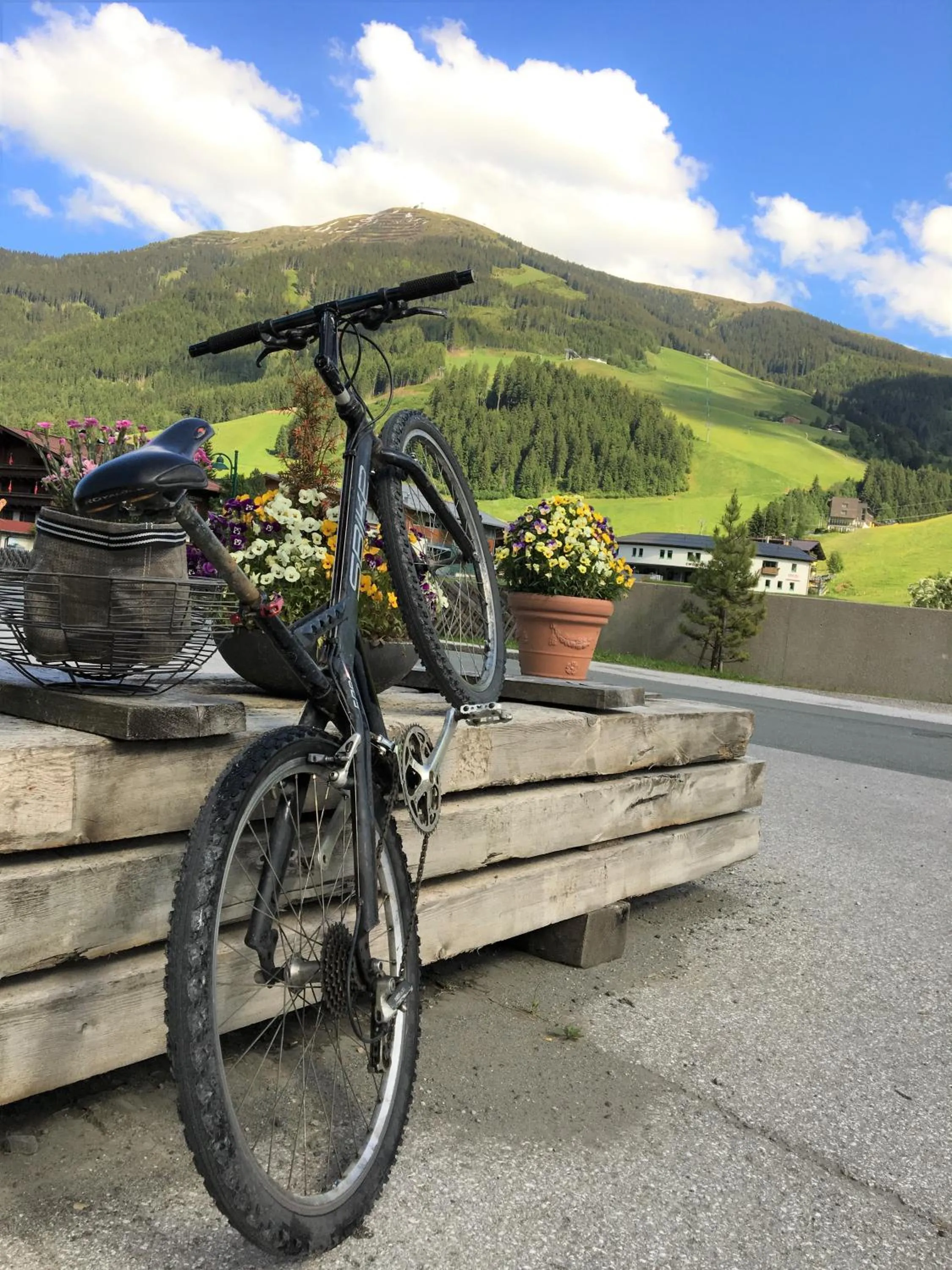 Cycling in Am Zwölferkogel Appartements