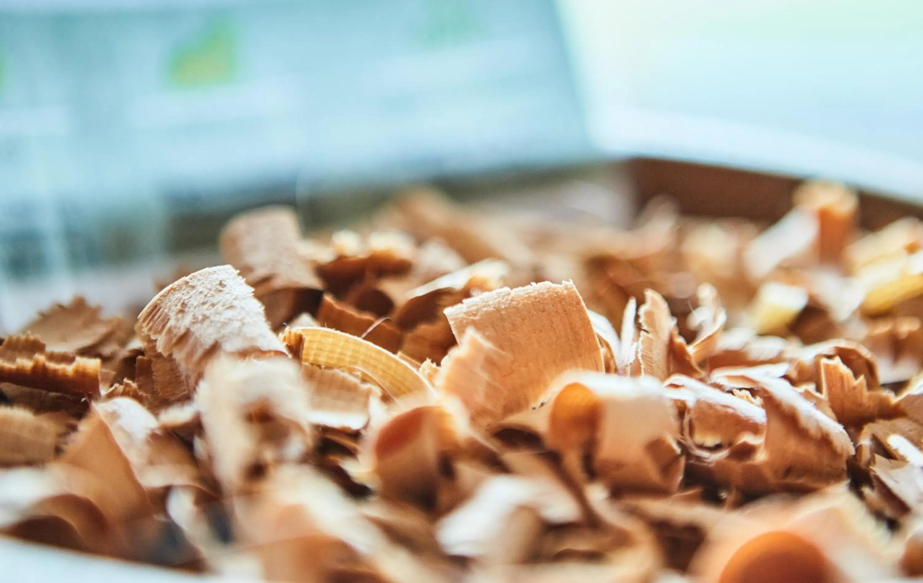 Decorative detail in Am Zwölferkogel Appartements