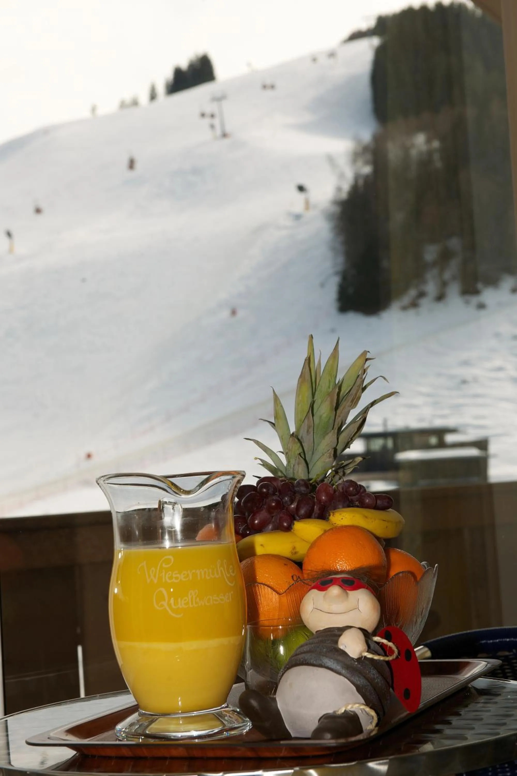 Skiing in Am Zwölferkogel Appartements