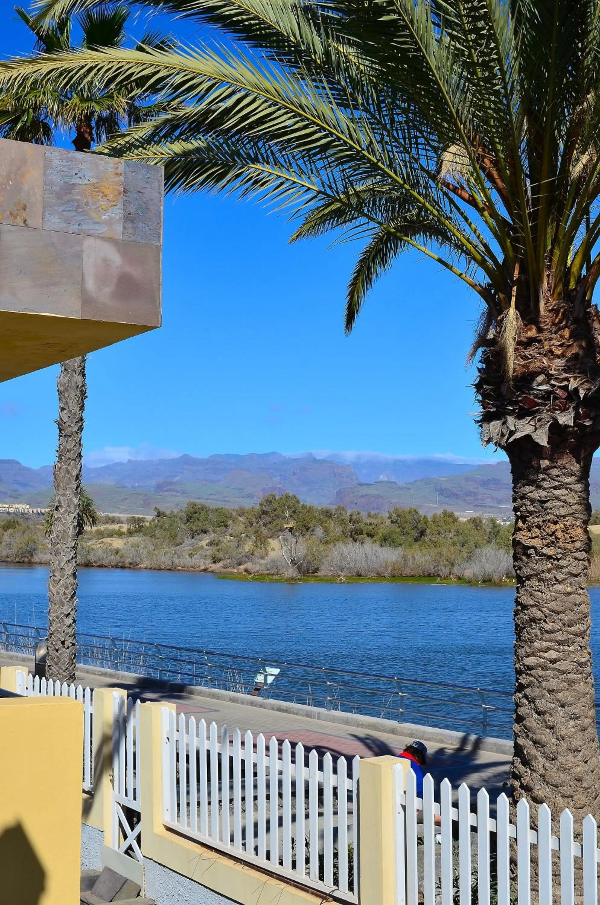 View (from property/room) in Apartamentos Maspalomas Oasis