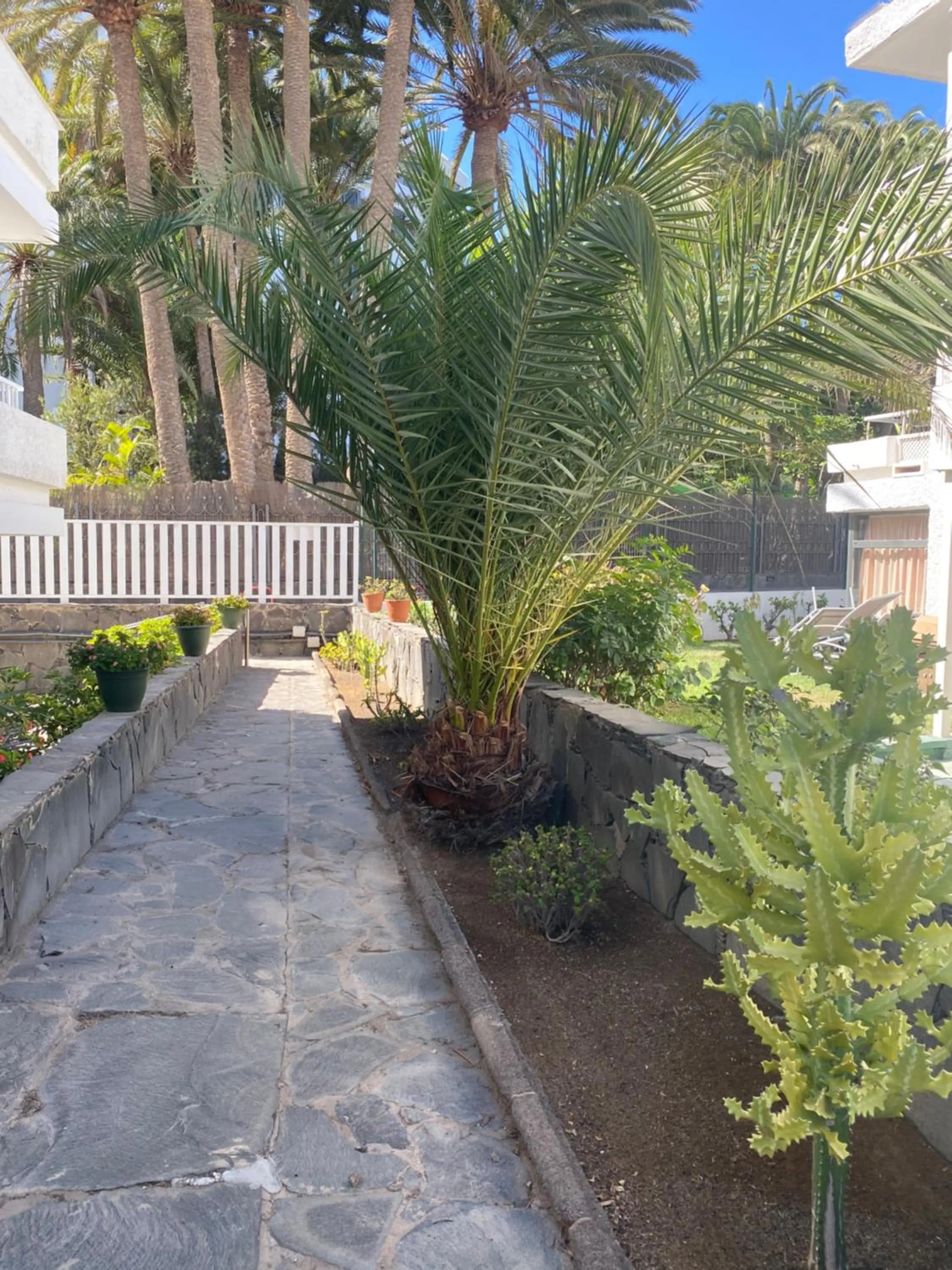 Property Building in Apartamentos Maspalomas Oasis