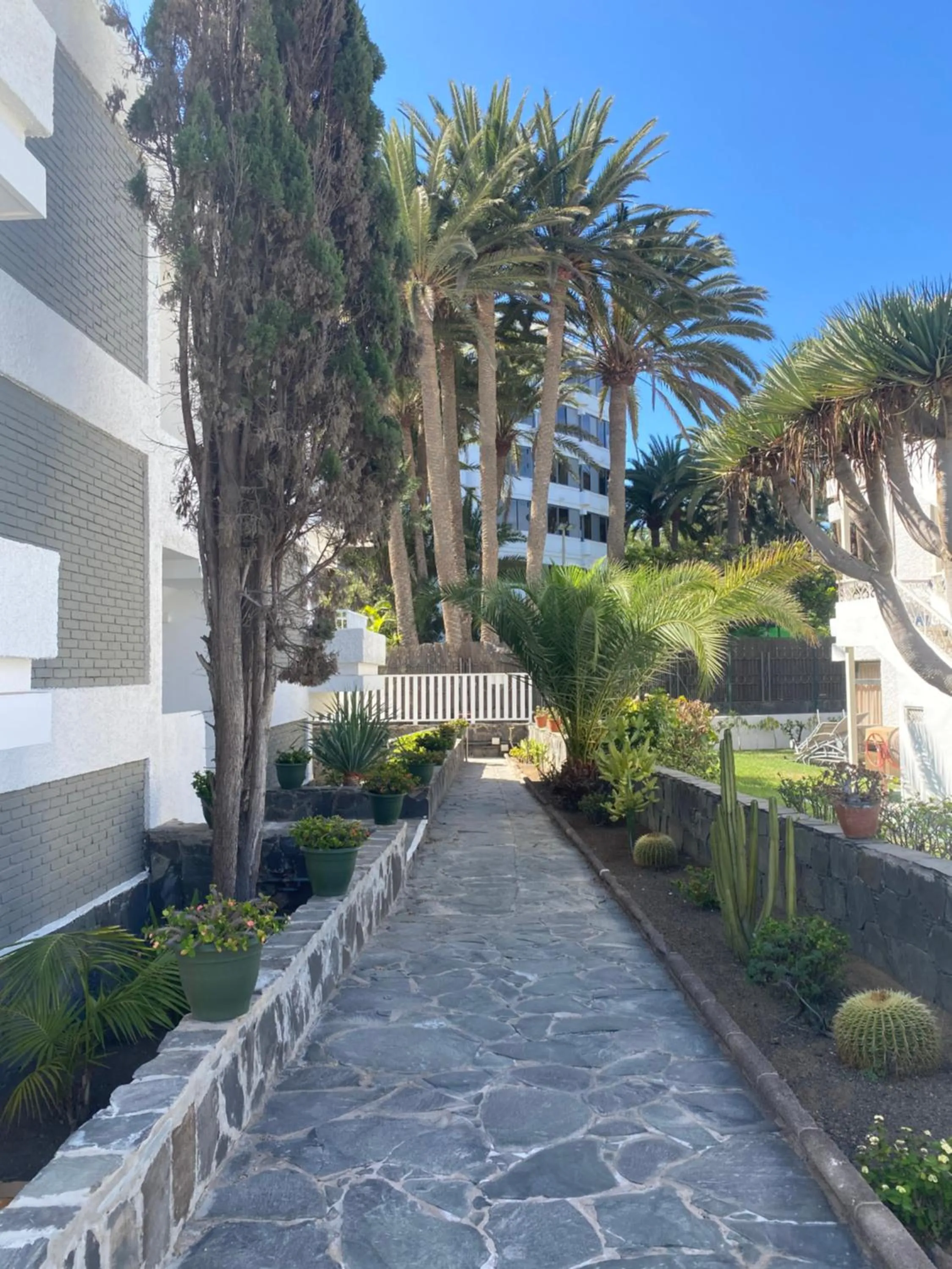 Property Building in Apartamentos Maspalomas Oasis