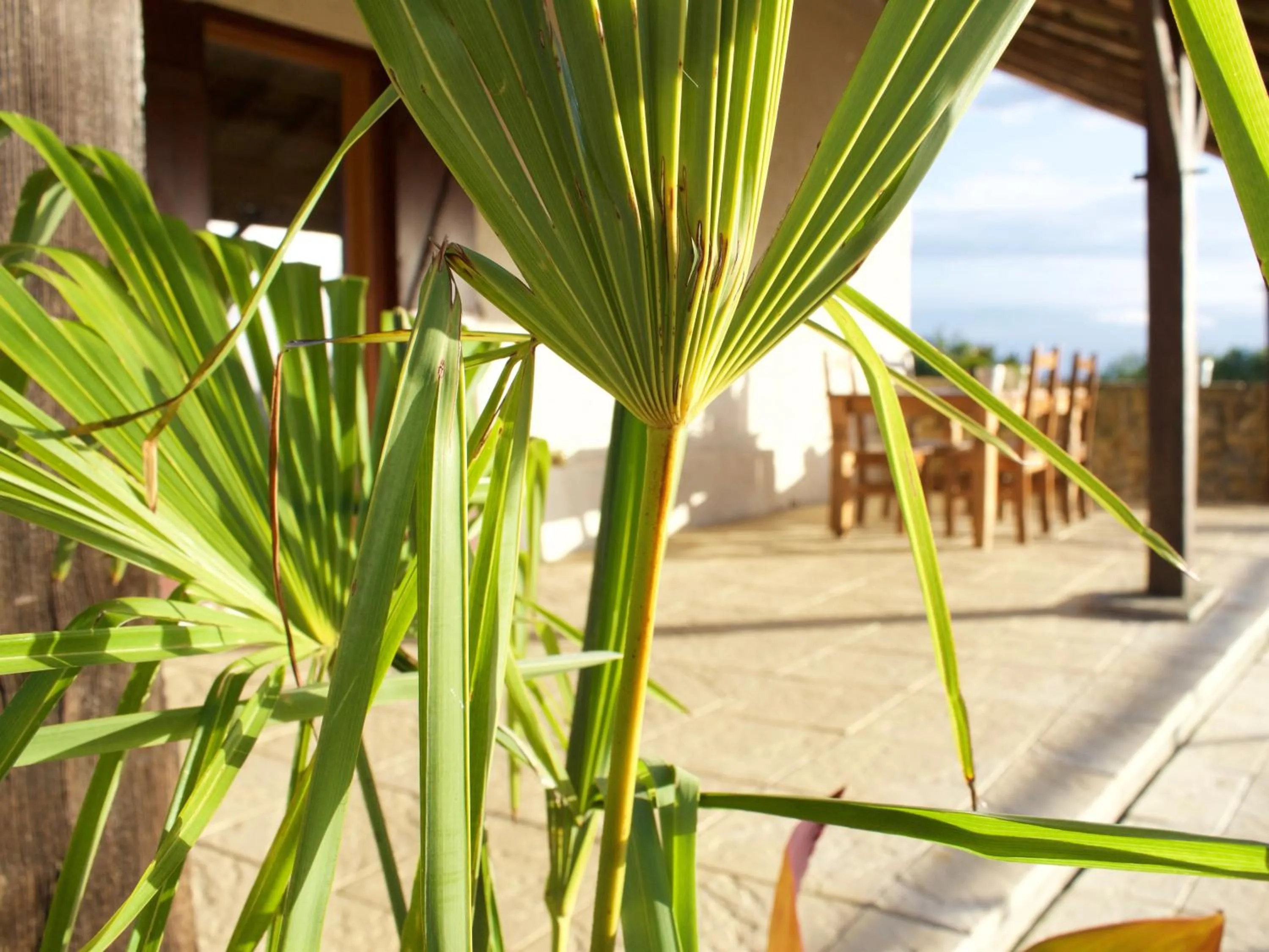 Balcony/Terrace in Ancienne Ecole