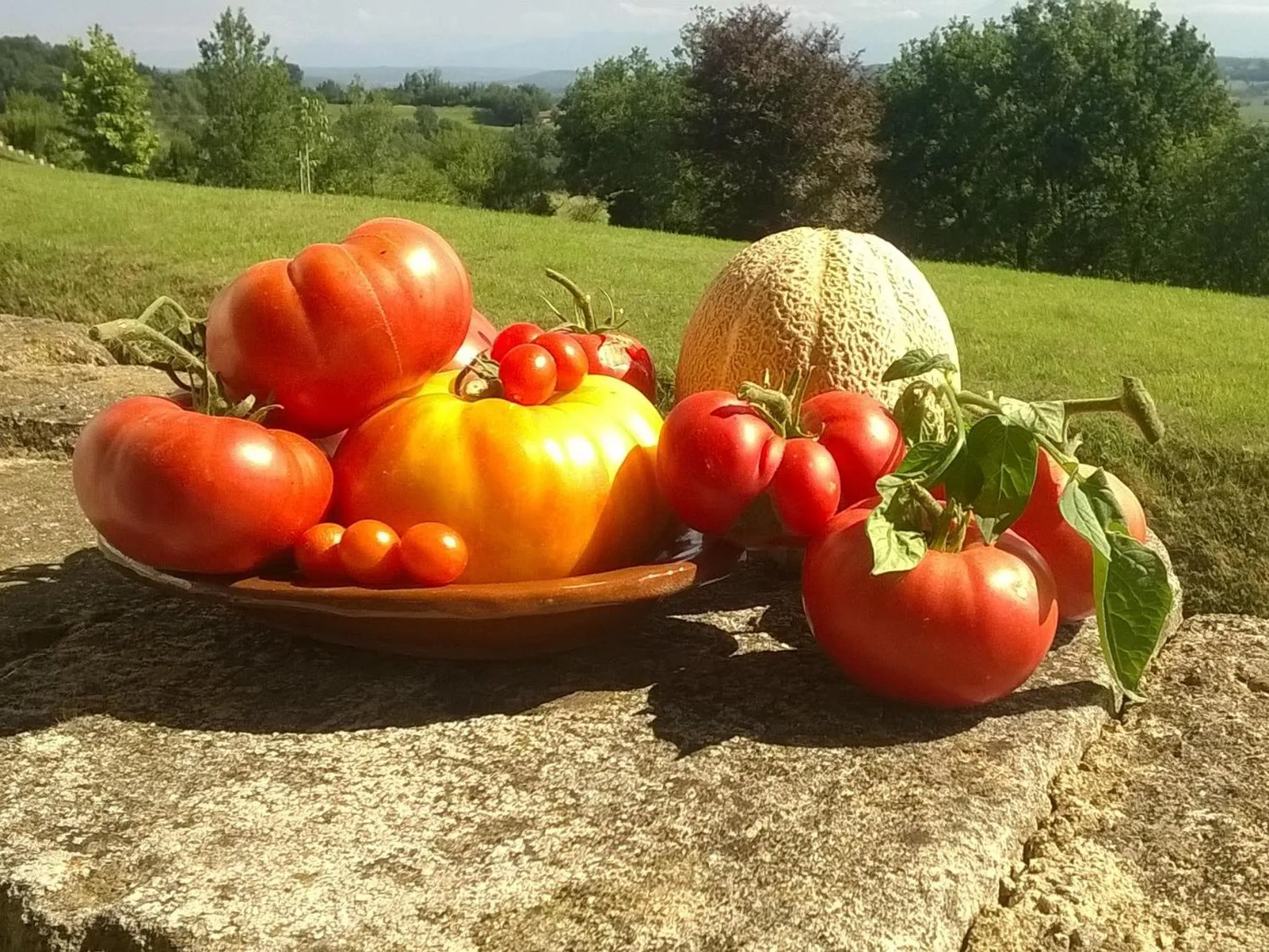 Other in Ancienne Ecole